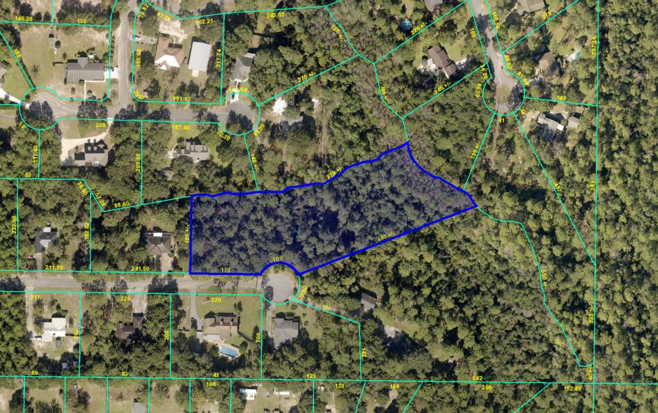 Tbd Wheeler Place Crestview, FL 32539 - Photo 3 of 15 view of a tree with a tree