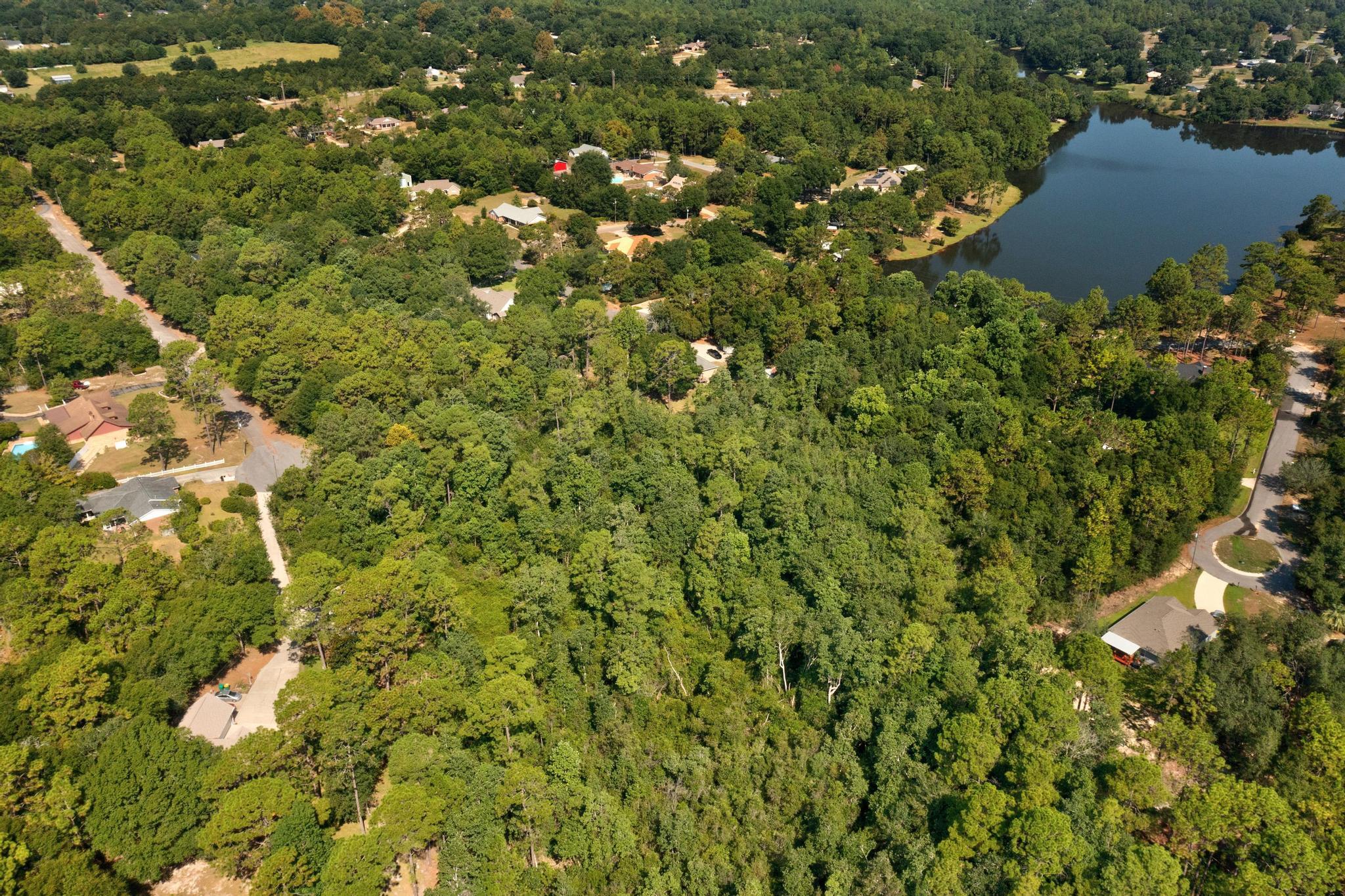 Tbd Wheeler Place Crestview, FL 32539 - Photo 5 of 15 a view of a tree with a tree