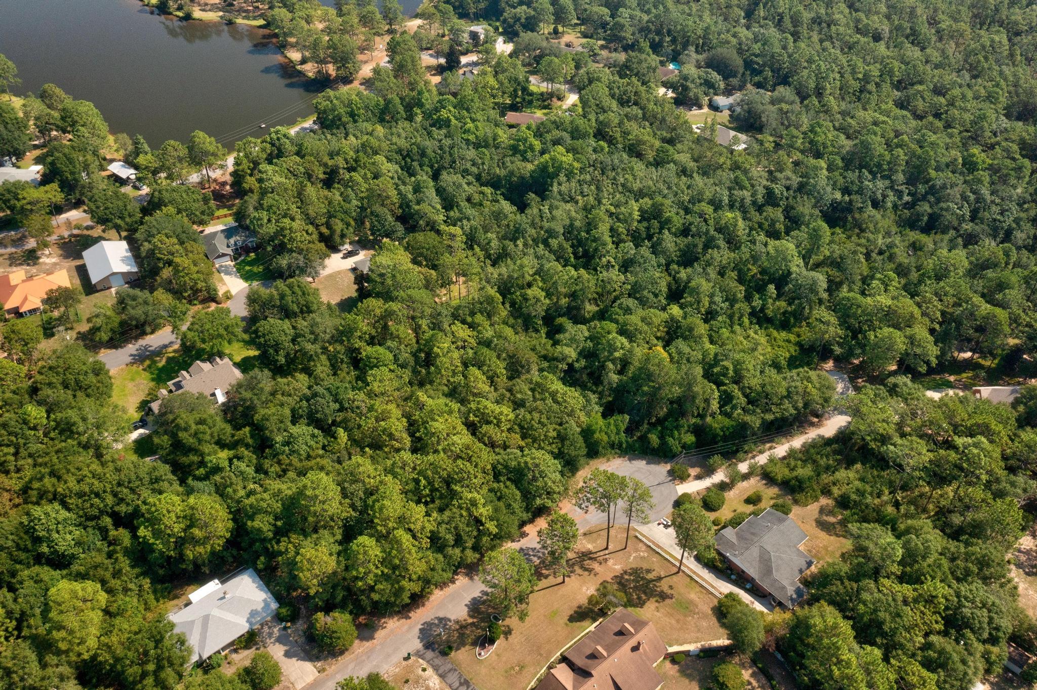 Tbd Wheeler Place Crestview, FL 32539 - Photo 7 of 15 a view of a forest with a forest