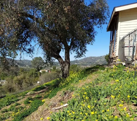 a backyard of a building with green space