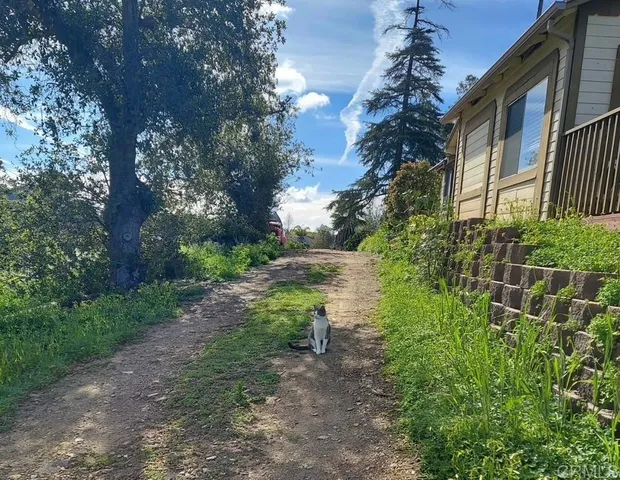 a backyard of a house with lots of green space