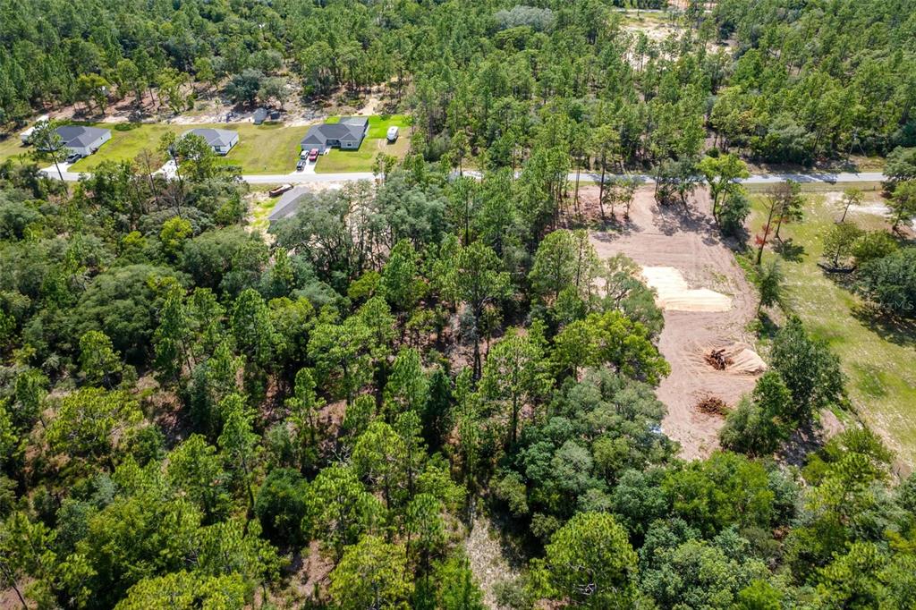 Southwest Viola Court Dunnellon, FL 34431 - Photo 8 of 9