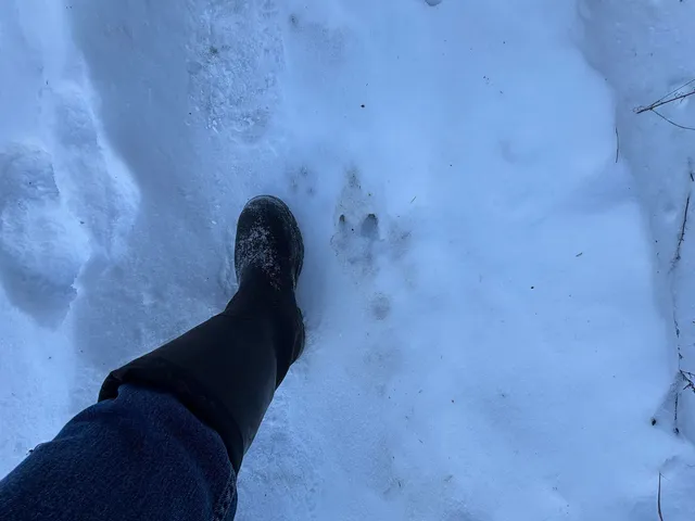 $280,000 | W4362 County Rd A, Pine River, WI 54965