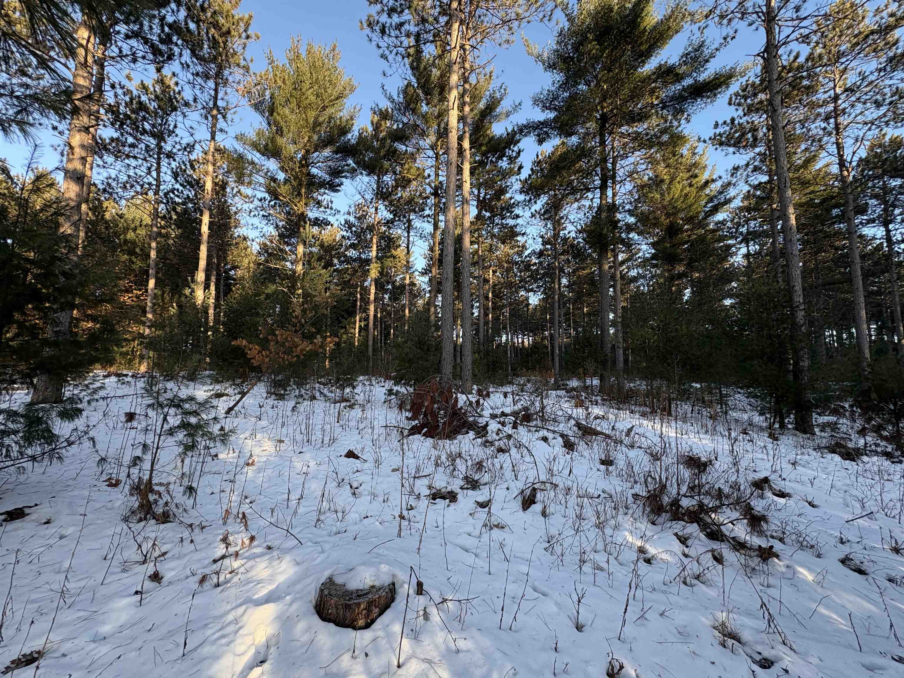 W4362 County Rd A Pine River, WI 54965 - Photo 10 of 26