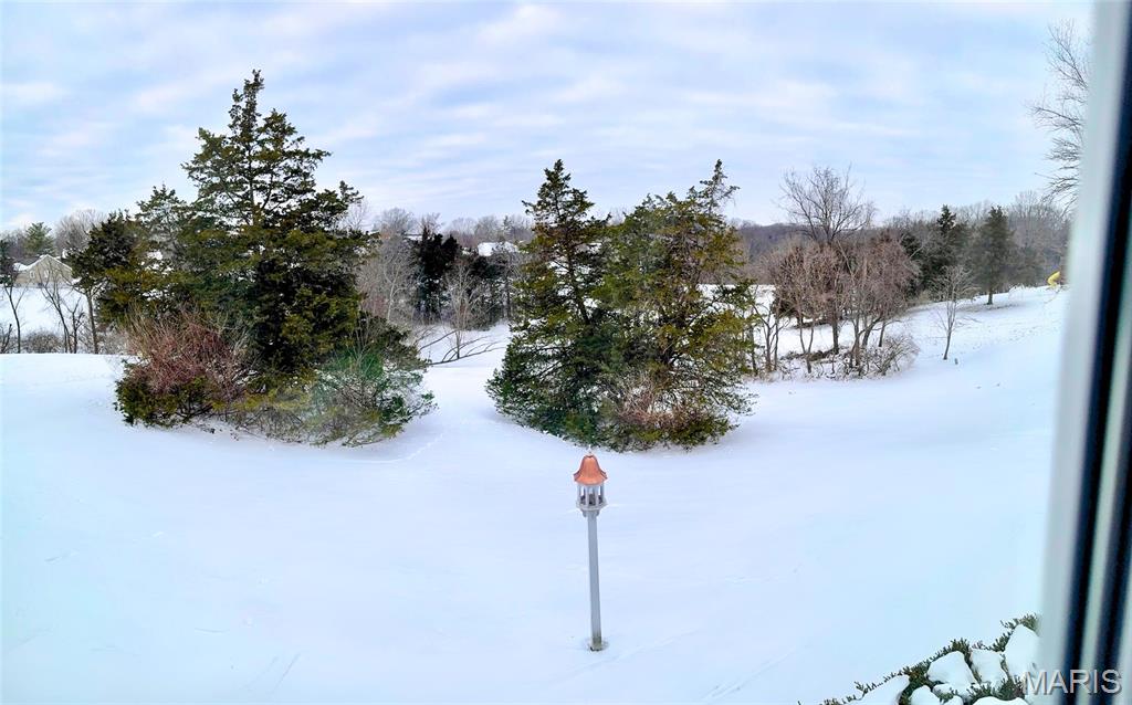 2525 Peppermill Ridge Drive Wildwood, MO 63005 - Photo 47 of 50