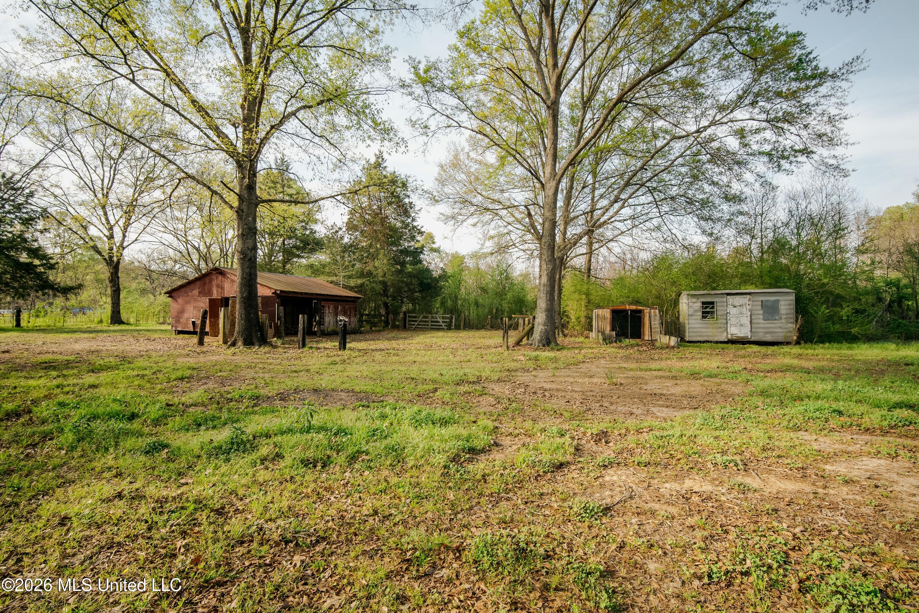 1844 Volley Campbell Road Terry, MS 39170 - Photo 12 of 76 DSC08375