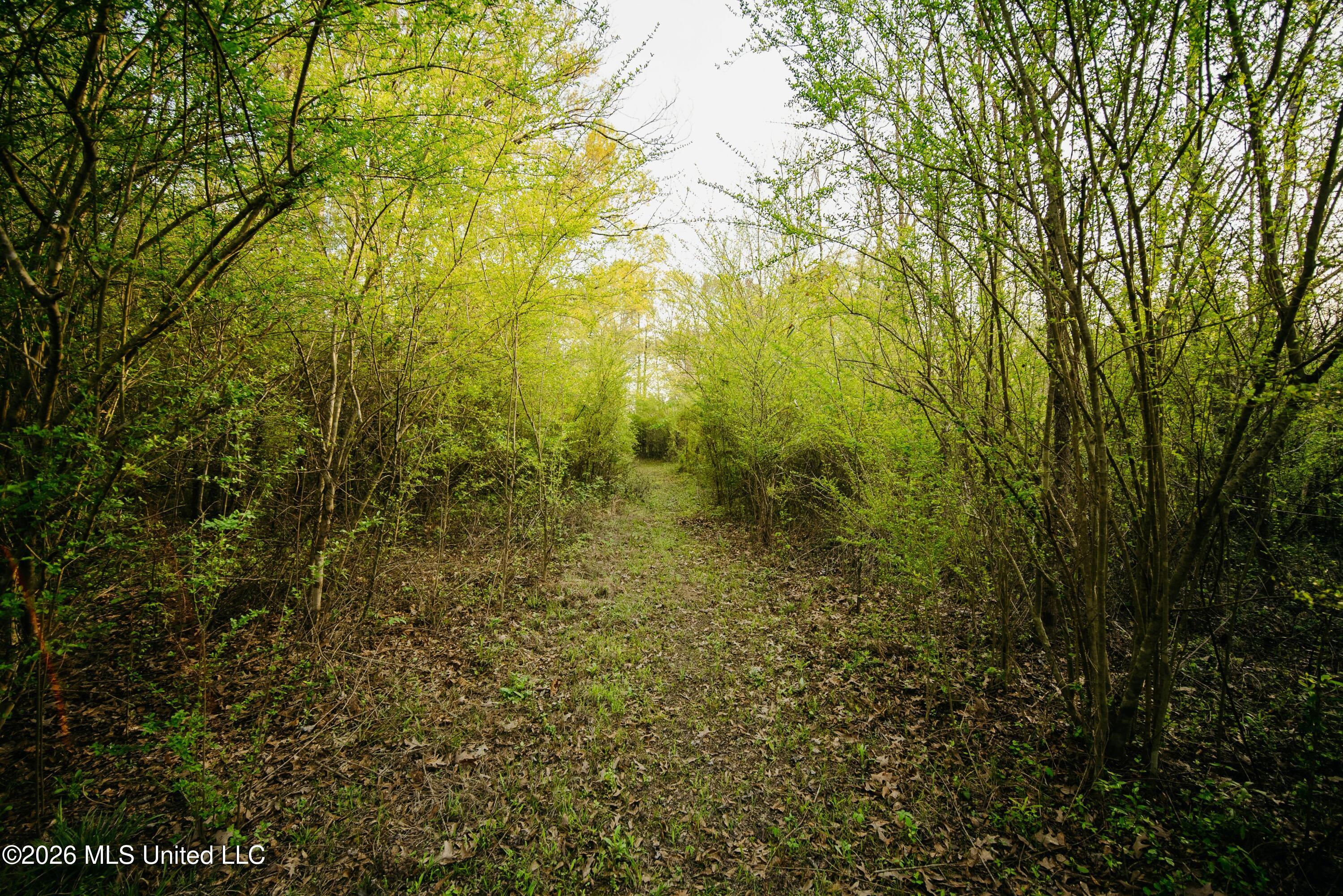 1844 Volley Campbell Road Terry, MS 39170 - Photo 21 of 76 DSC08626