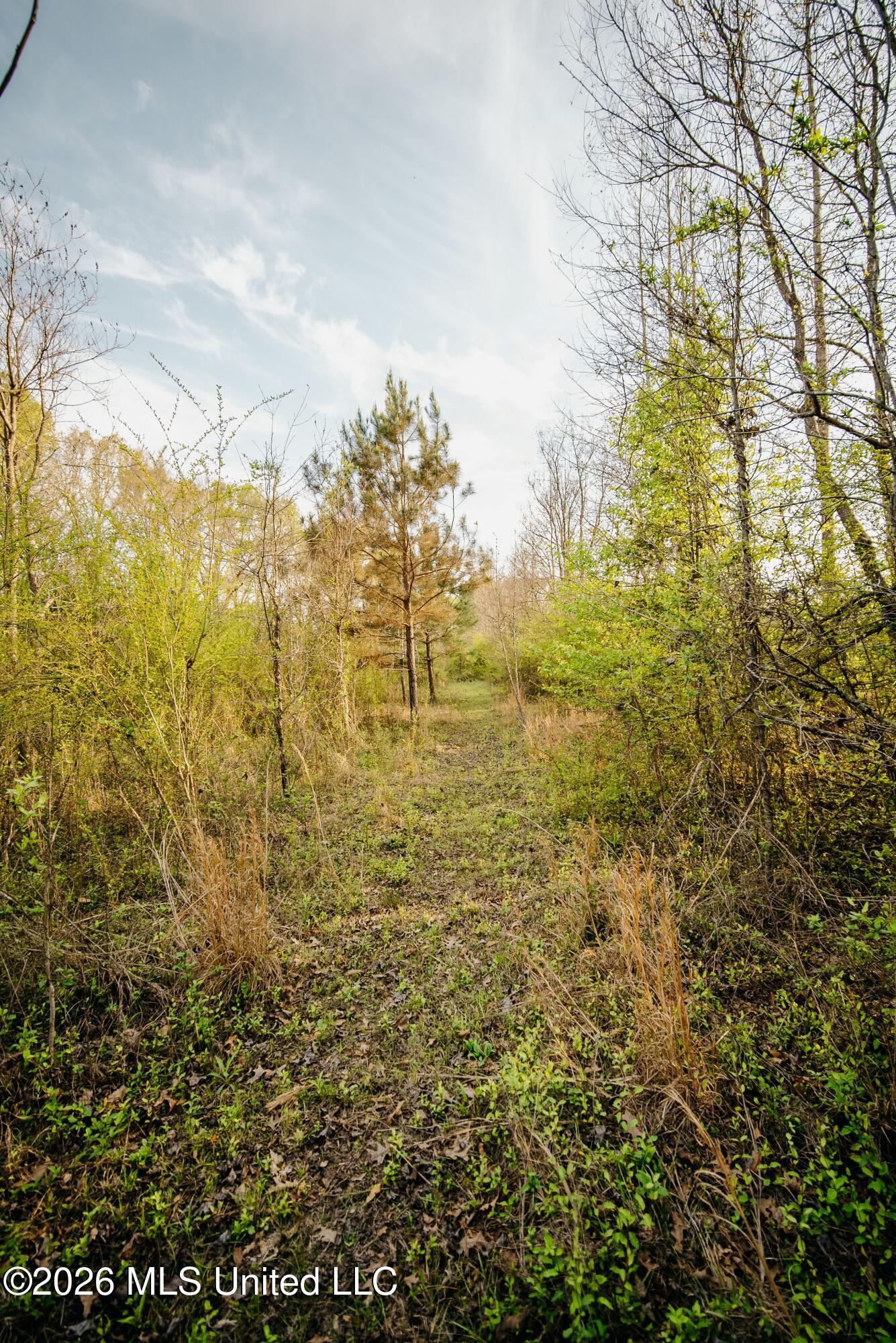 1844 Volley Campbell Road Terry, MS 39170 - Photo 23 of 76 DSC08620