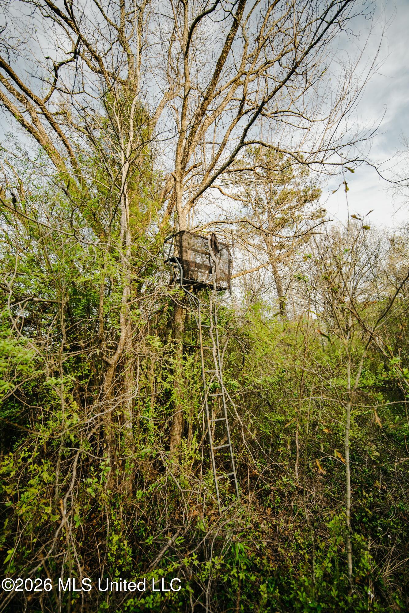 1844 Volley Campbell Road Terry, MS 39170 - Photo 24 of 76 DSC08615