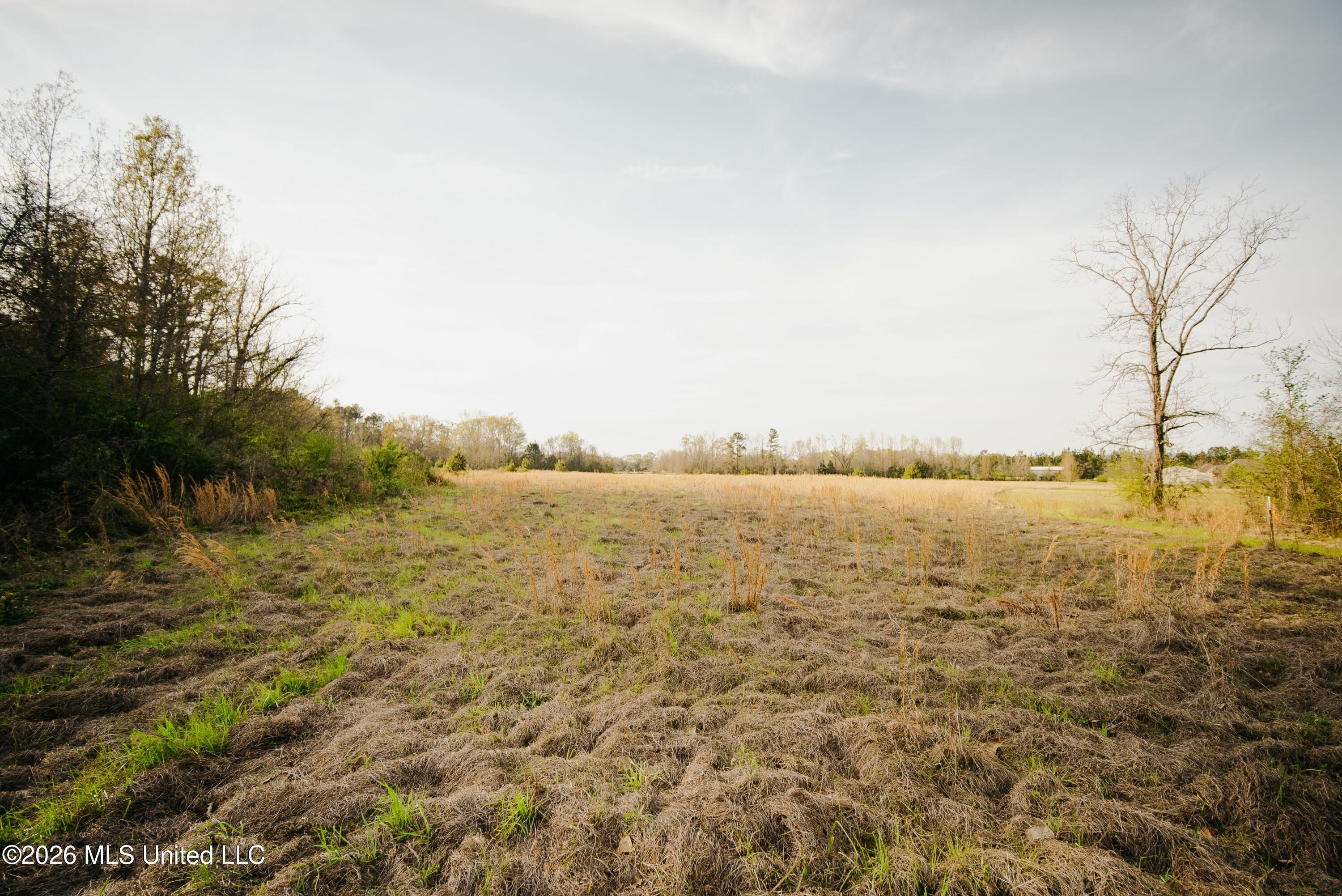 1844 Volley Campbell Road Terry, MS 39170 - Photo 28 of 76 DSC08587