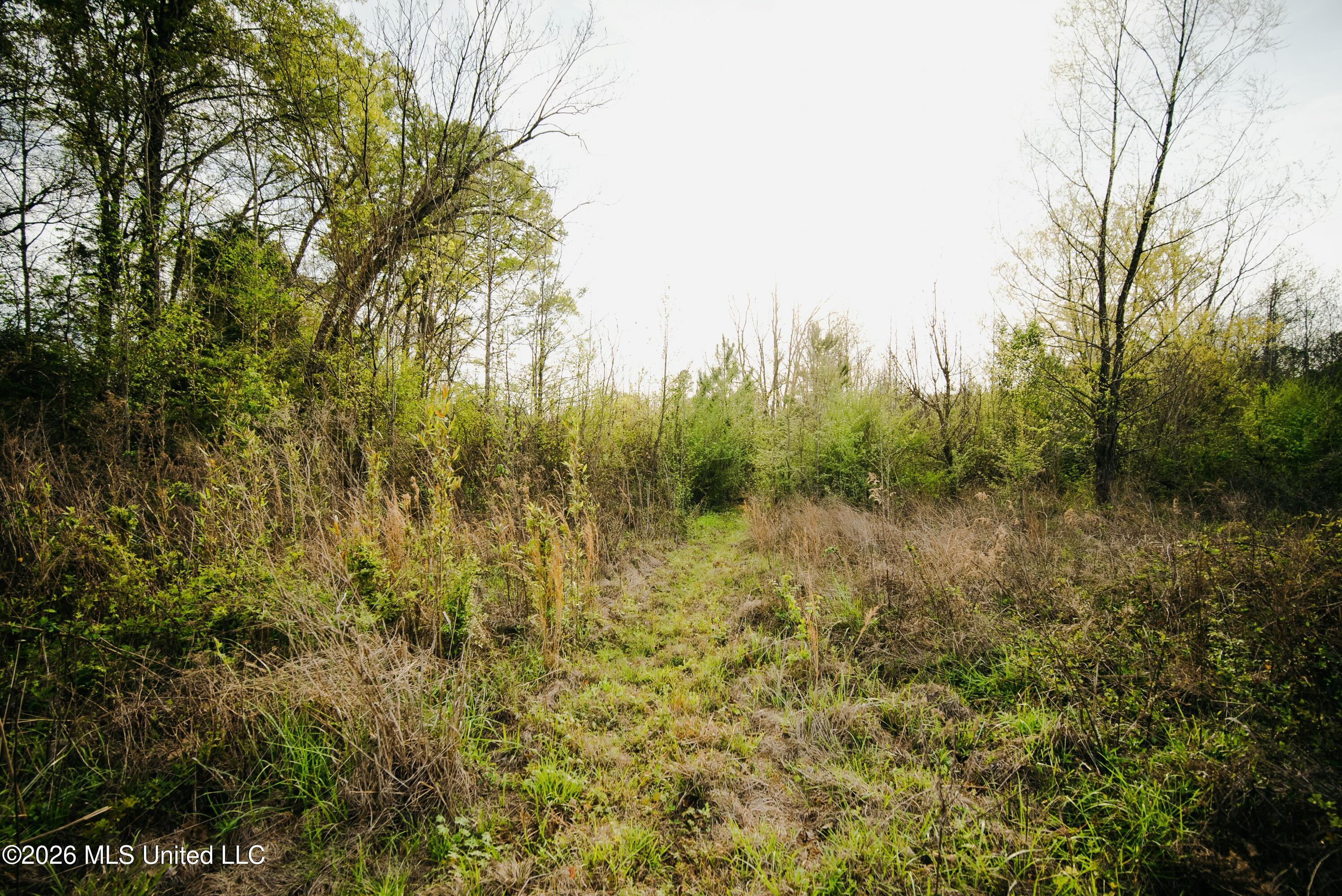 1844 Volley Campbell Road Terry, MS 39170 - Photo 29 of 76 DSC08578
