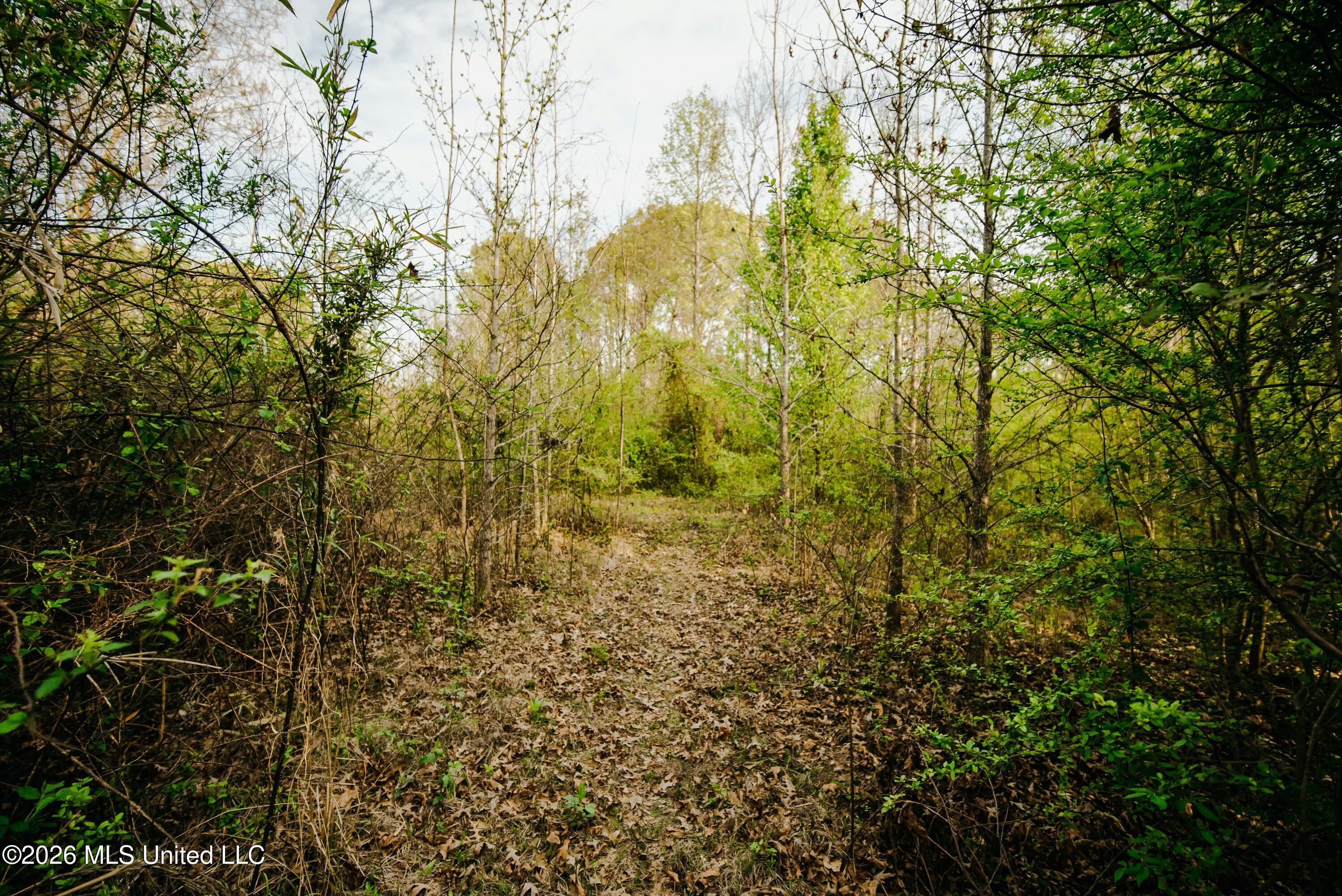 1844 Volley Campbell Road Terry, MS 39170 - Photo 31 of 76 DSC08573