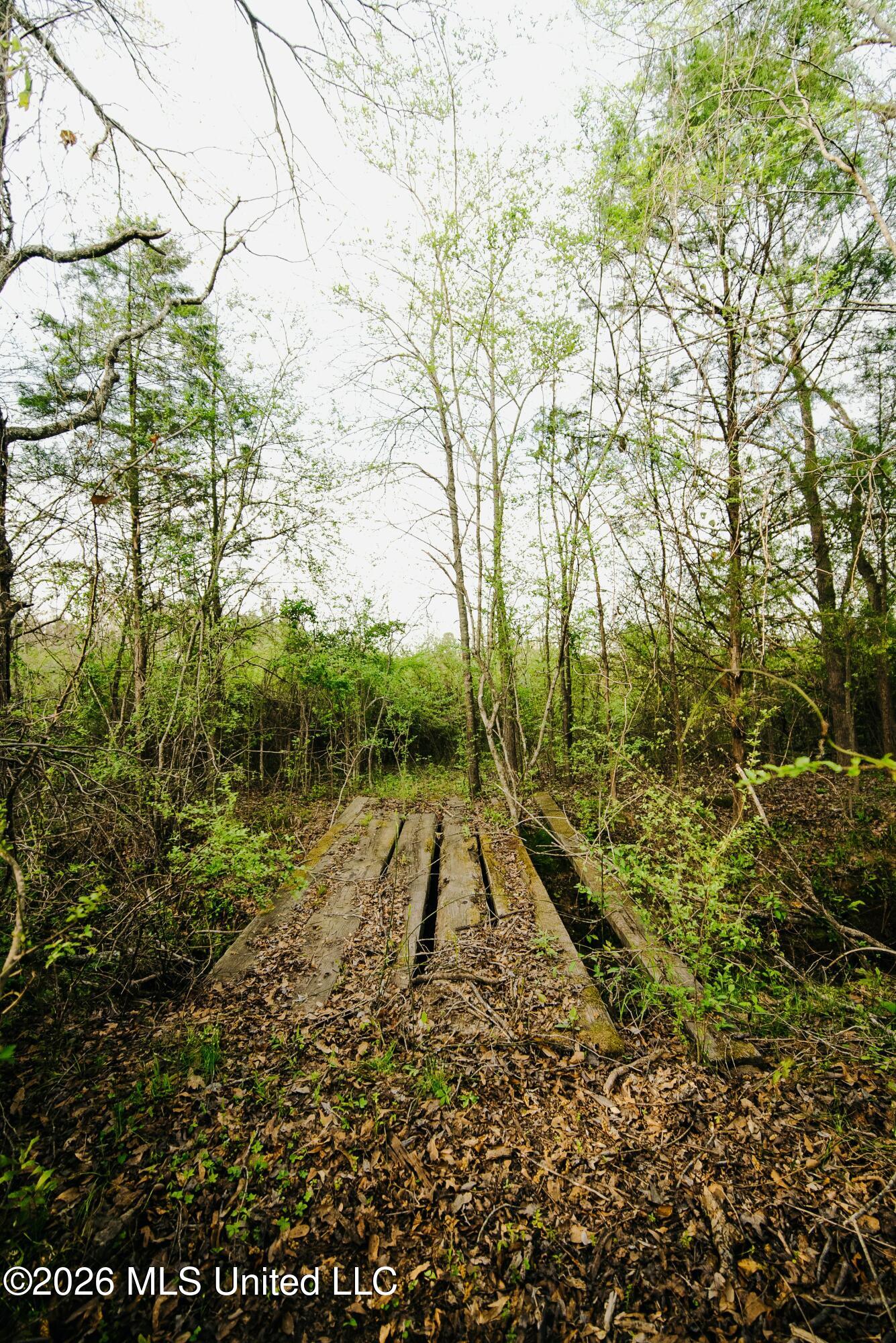 1844 Volley Campbell Road Terry, MS 39170 - Photo 32 of 76 DSC08568