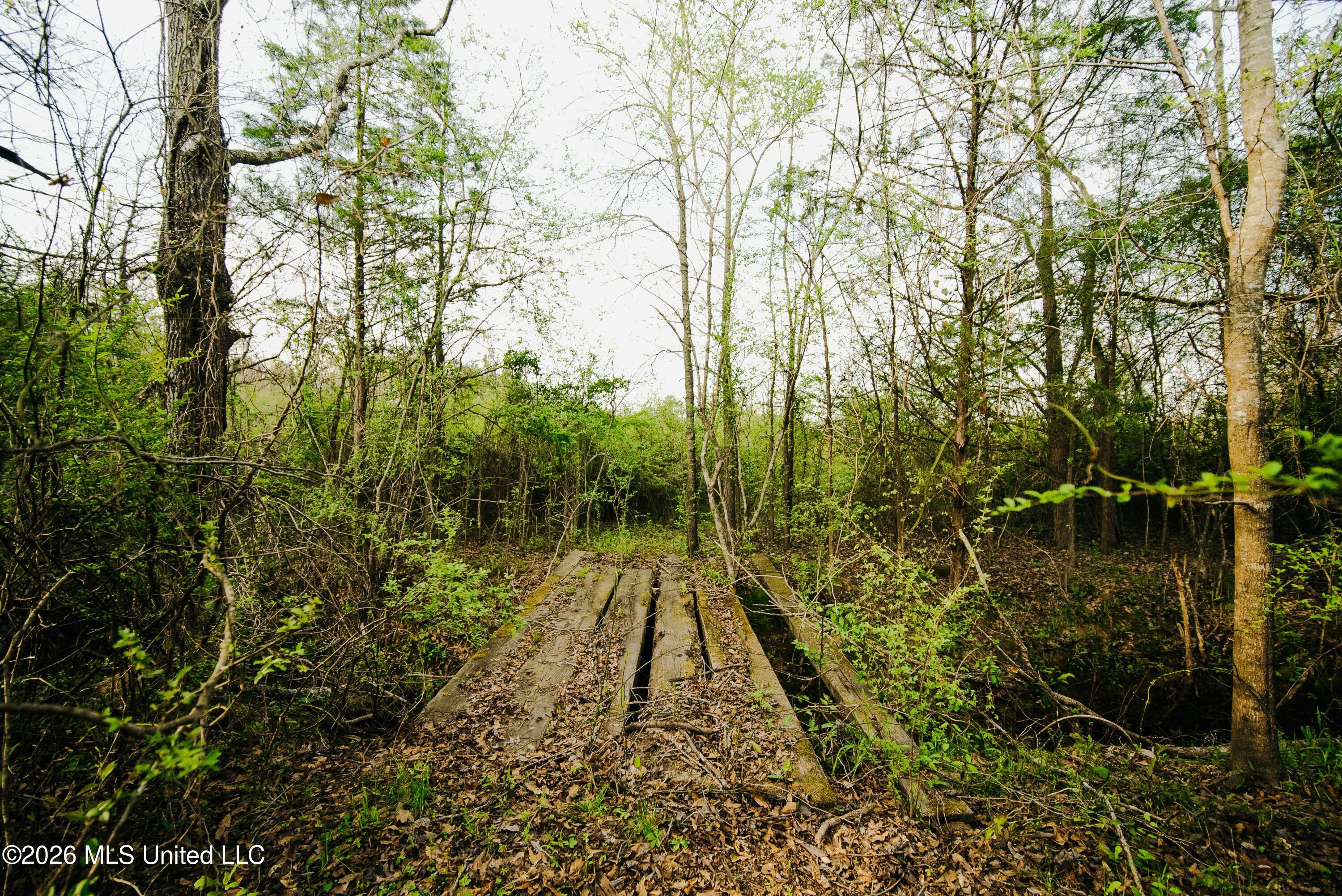 1844 Volley Campbell Road Terry, MS 39170 - Photo 33 of 76 DSC08565