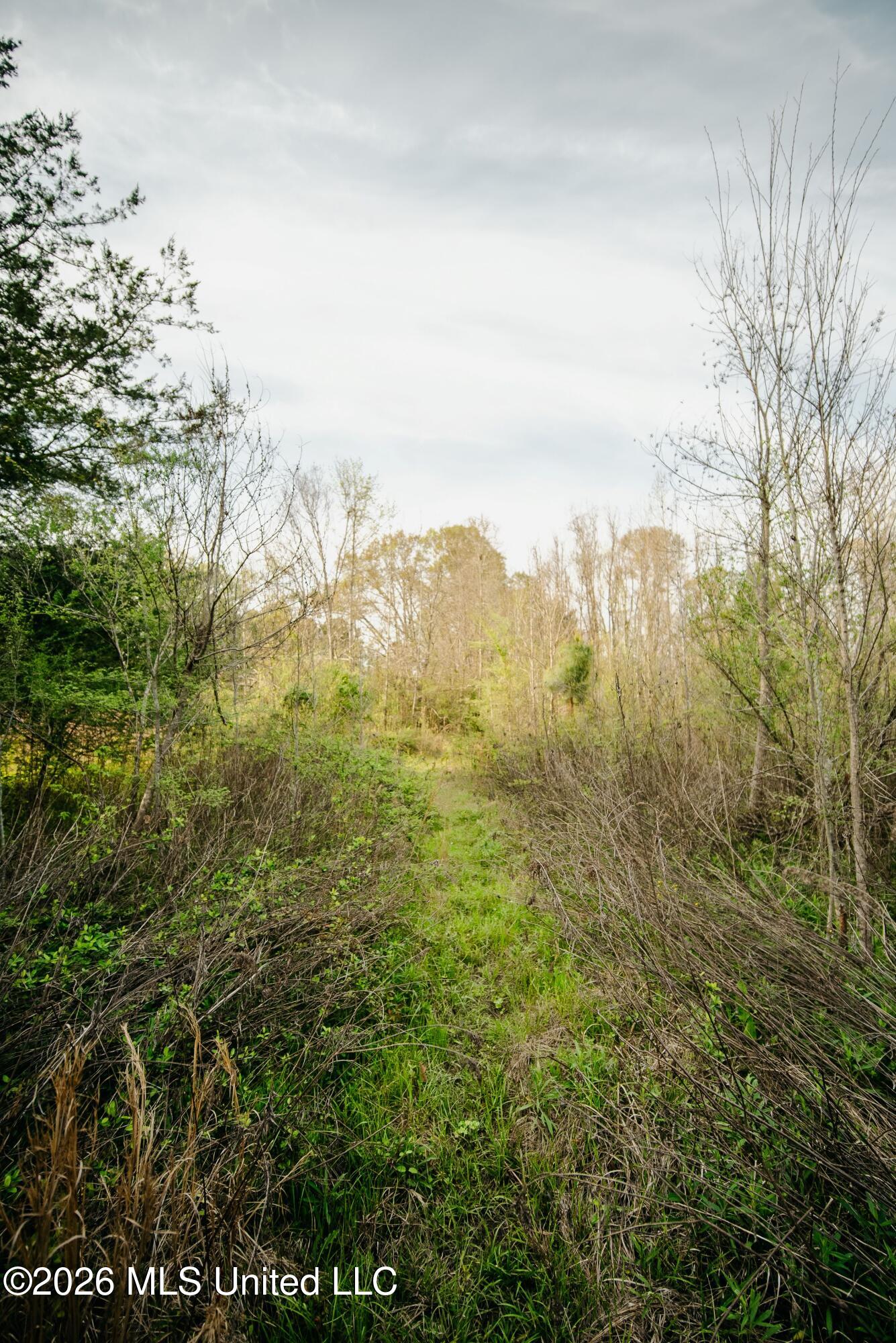 1844 Volley Campbell Road Terry, MS 39170 - Photo 34 of 76 DSC08561