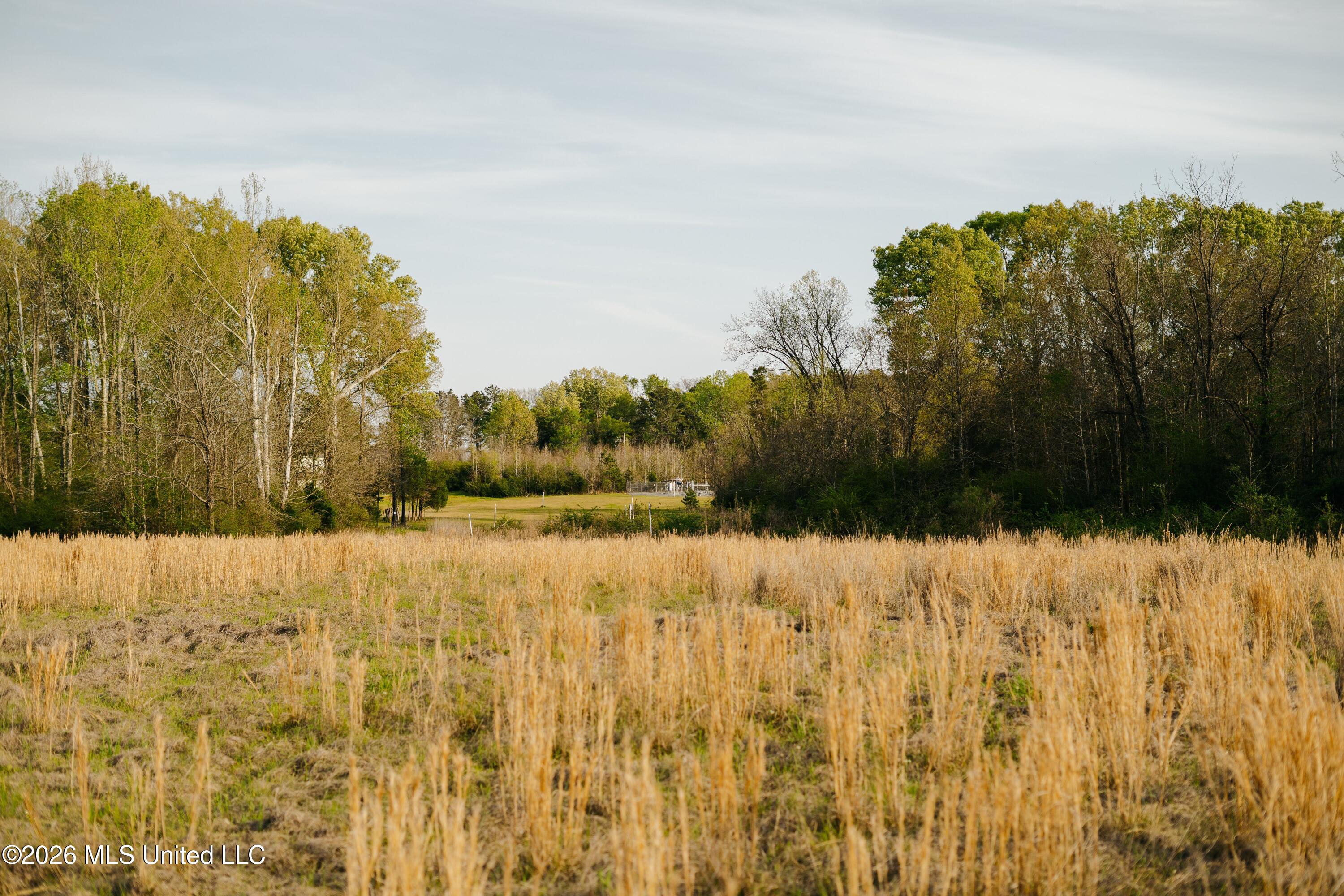 1844 Volley Campbell Road Terry, MS 39170 - Photo 37 of 76 DSC02425