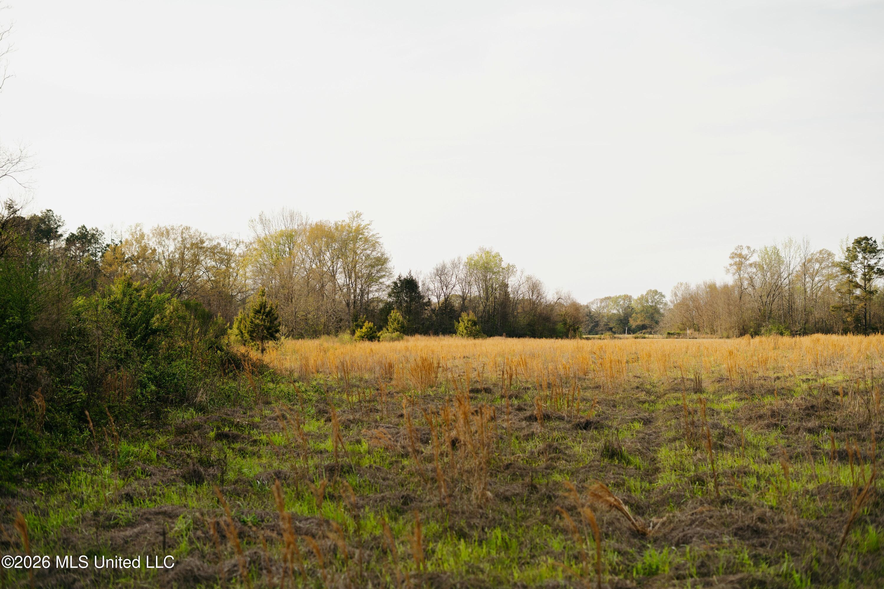 1844 Volley Campbell Road Terry, MS 39170 - Photo 39 of 76 DSC02409