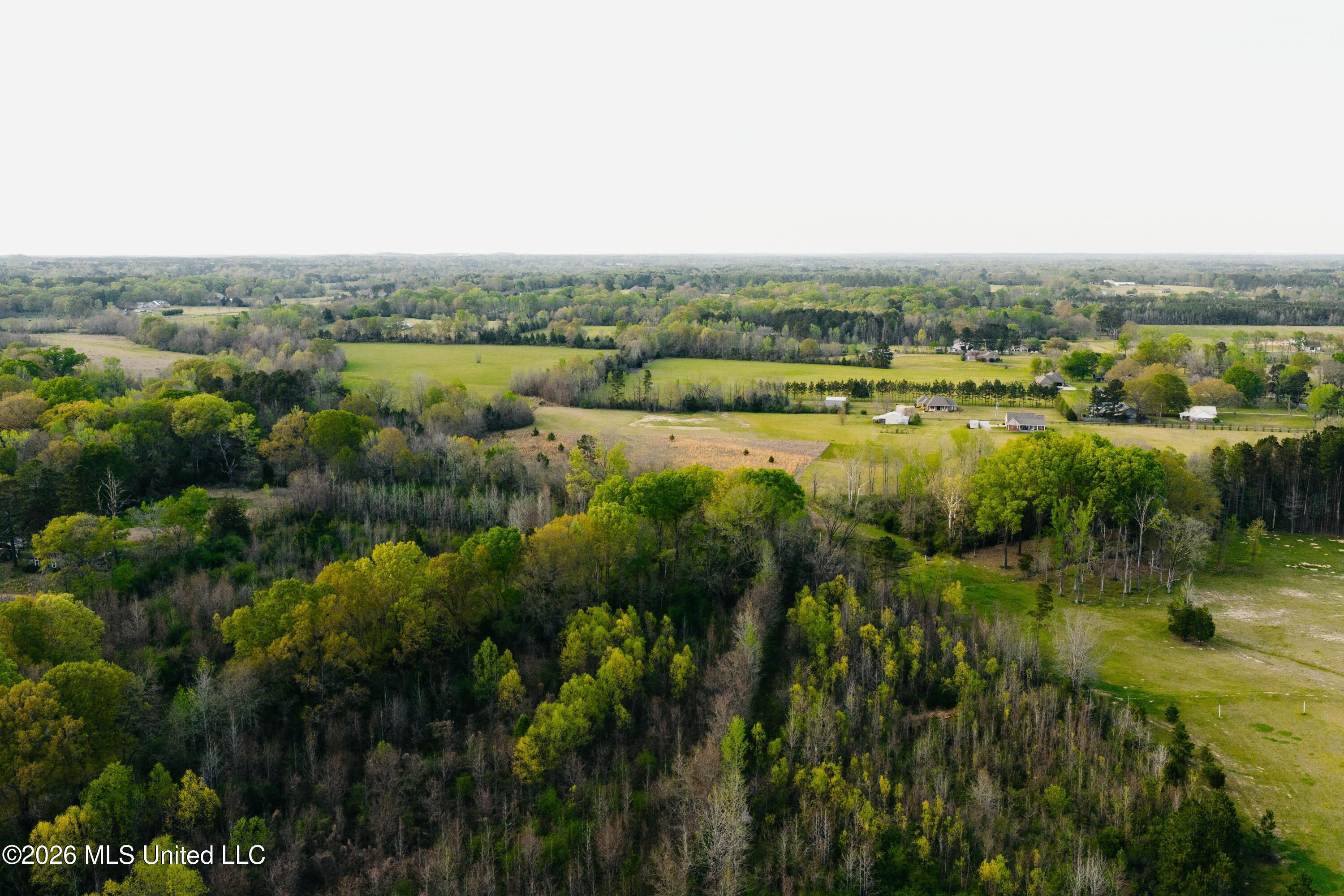 1844 Volley Campbell Road Terry, MS 39170 - Photo 56 of 76 DJI_20260324072758_0250_D