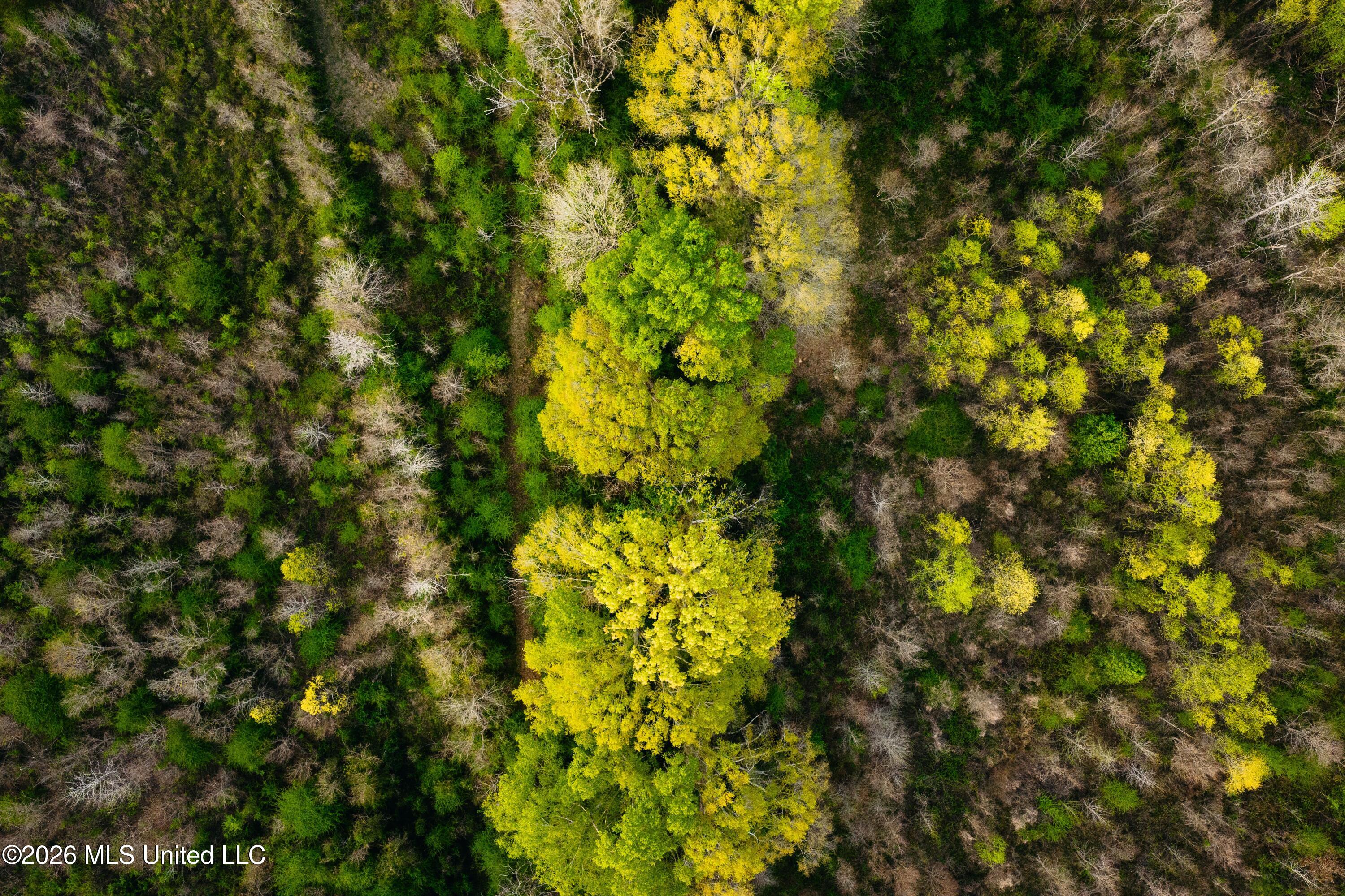 1844 Volley Campbell Road Terry, MS 39170 - Photo 58 of 76 DJI_20260324072647_0233_D