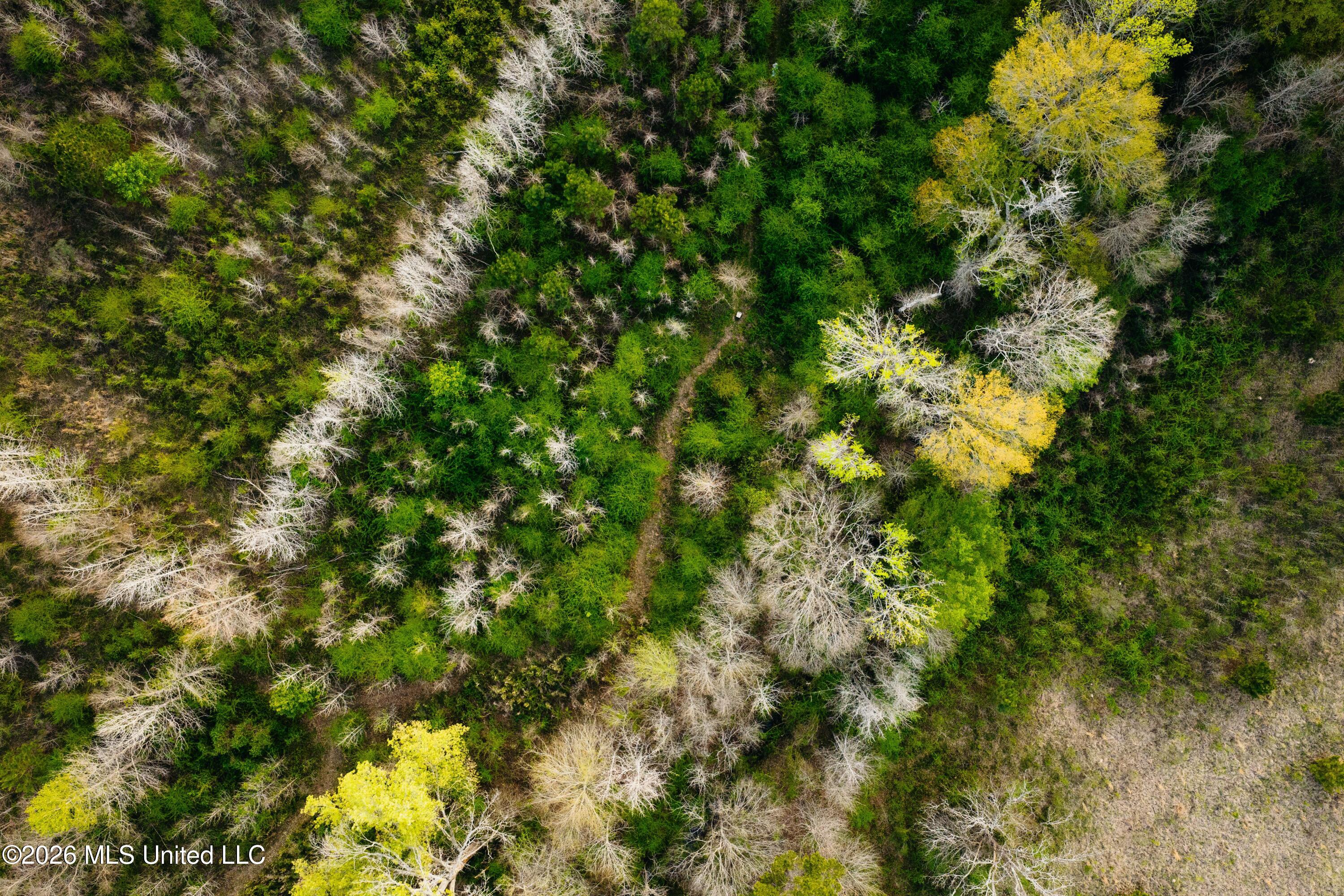 1844 Volley Campbell Road Terry, MS 39170 - Photo 64 of 76 DJI_20260324072315_0204_D