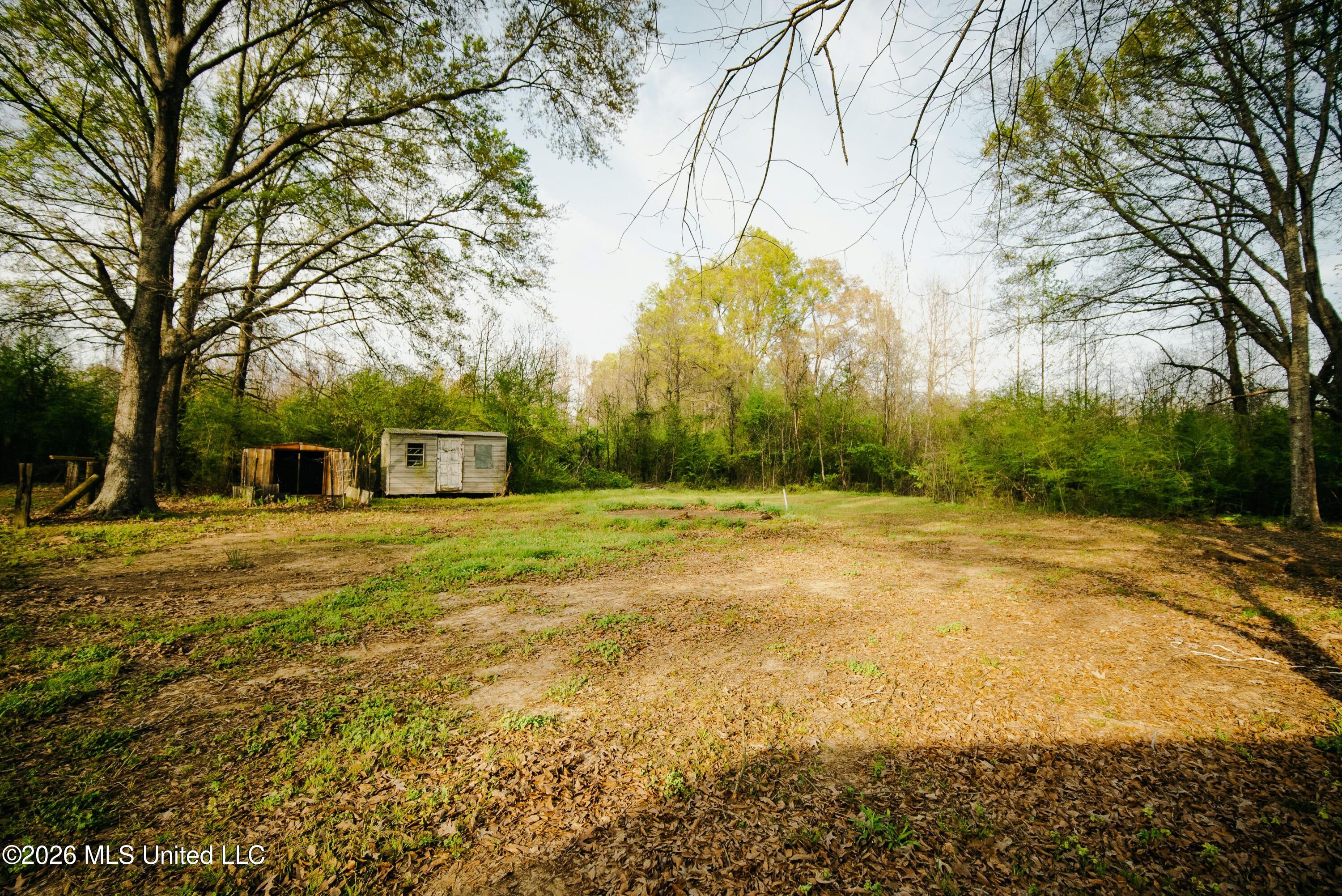 1844 Volley Campbell Road Terry, MS 39170 - Photo 10 of 76 DSC08546