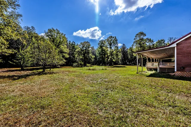 a view of a backyard