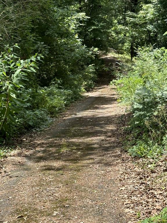 220 Ridgecrest Road Southeast Mableton, GA 30126 - Photo 7 of 12