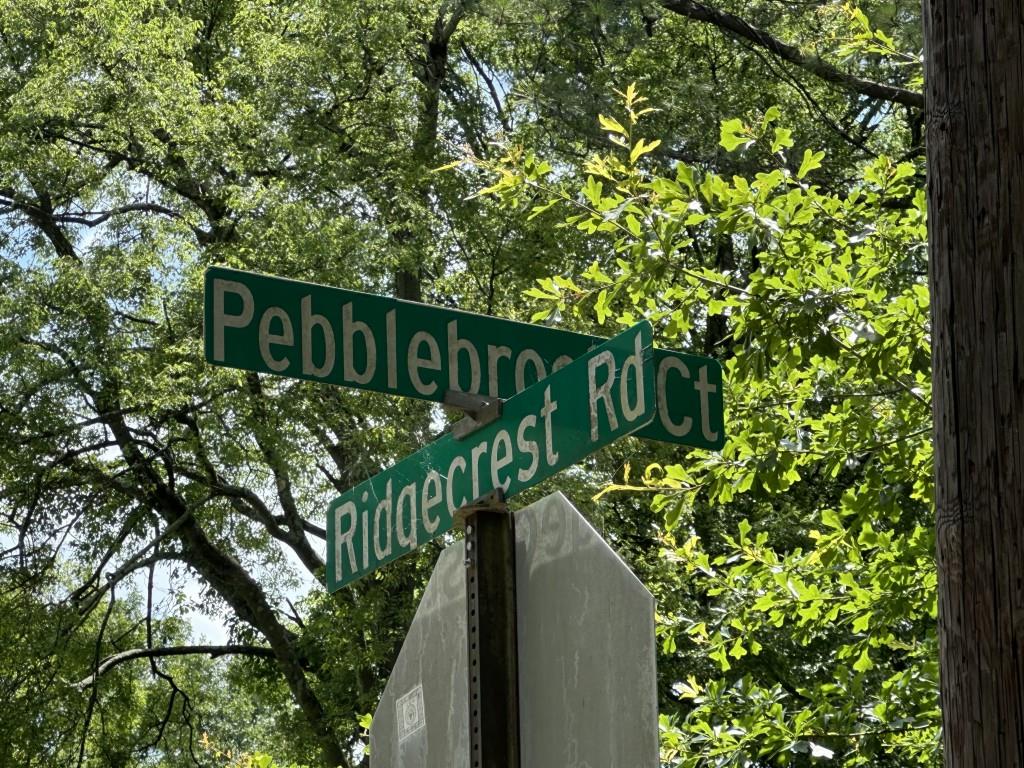 220 Ridgecrest Road Southeast Mableton, GA 30126 - Photo 9 of 12 a view of a garden