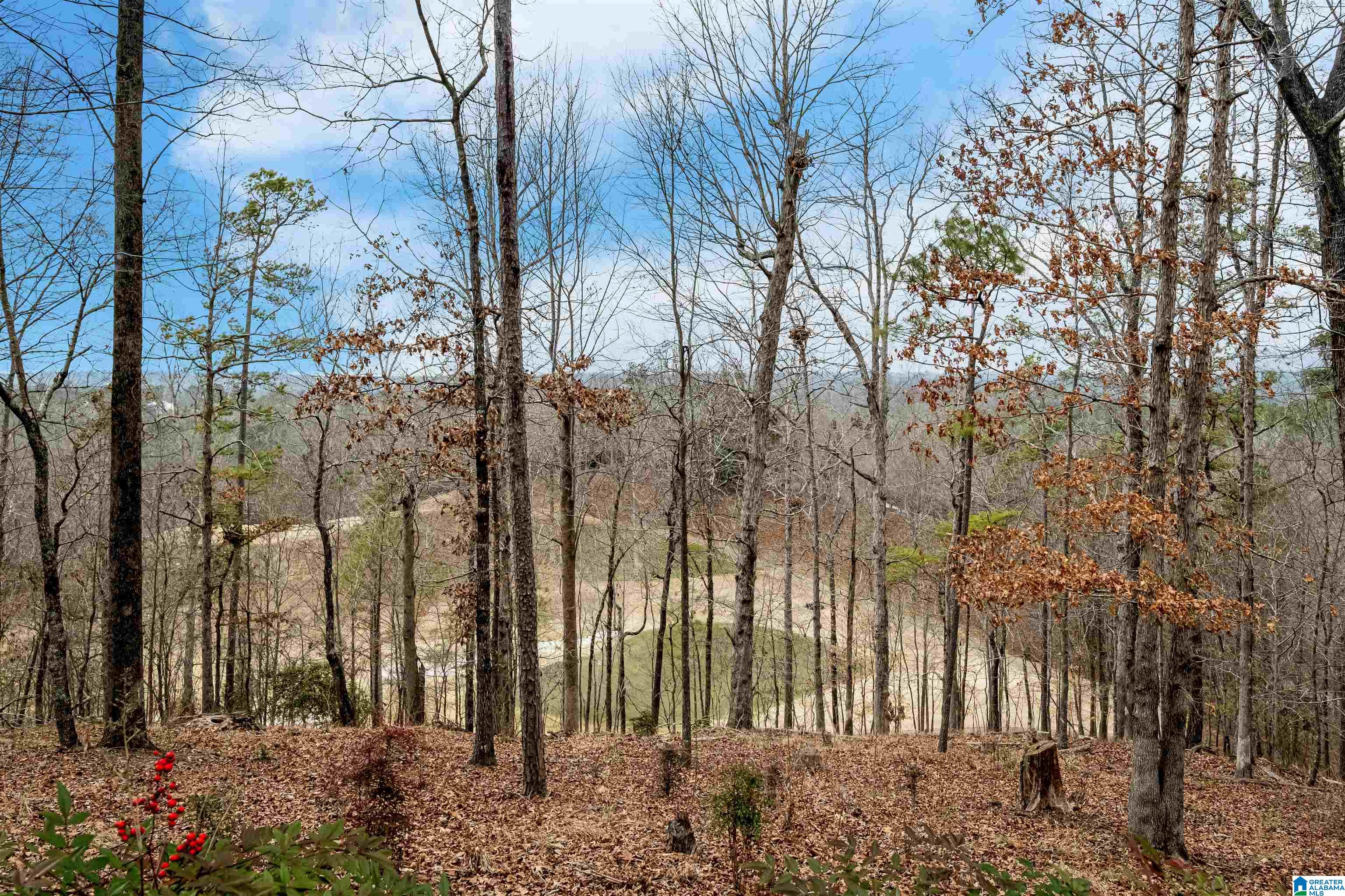 7378 Ridgecrest Court Road Birmingham, AL 35242 - Photo 8 of 97