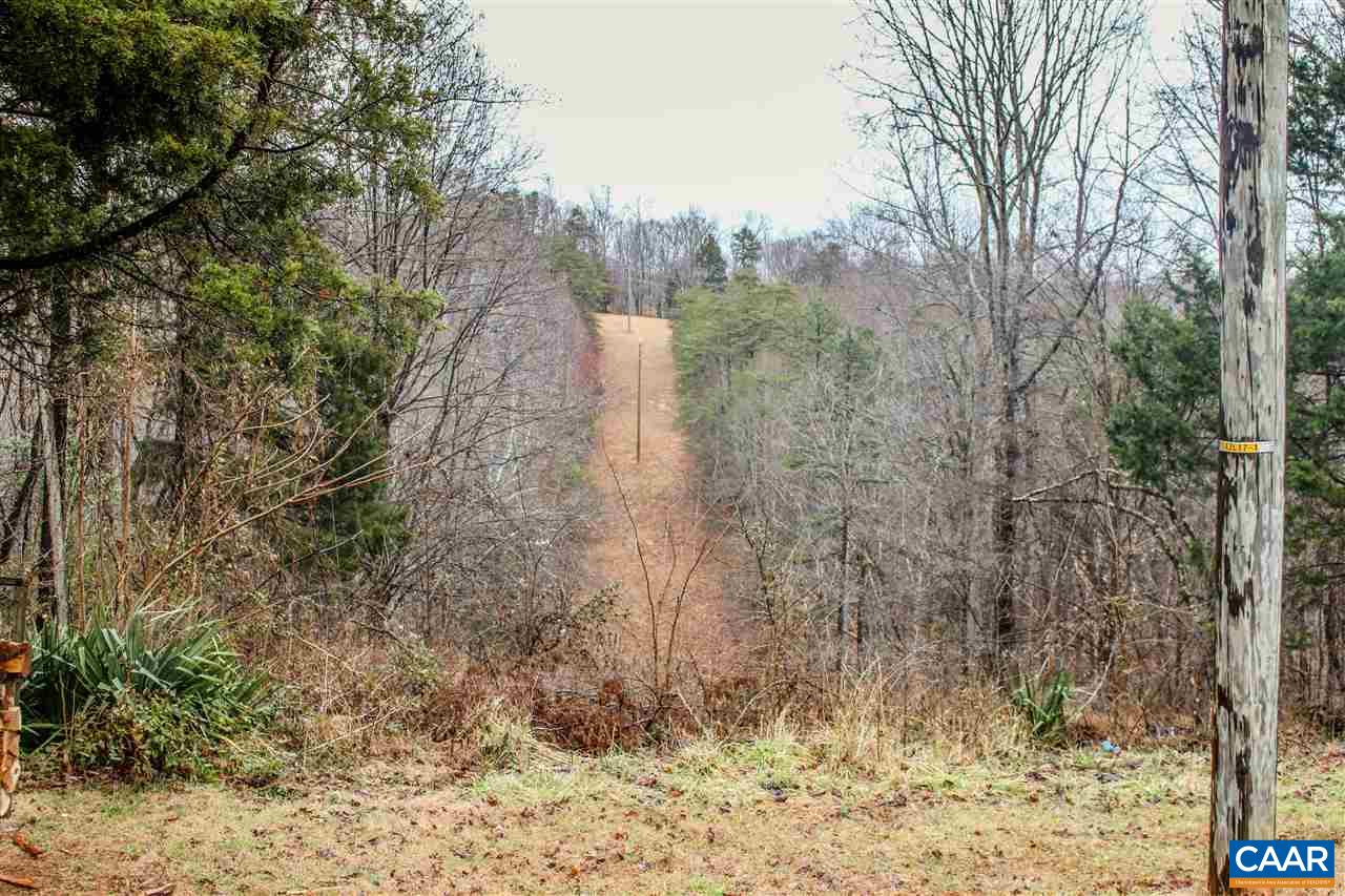 7064 Carter Road Schuyler, VA 22969 - Photo 5 of 17 a view of a yard