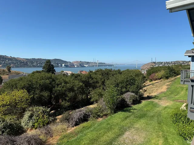 an aerial view of green landscape with trees houses and mountain view