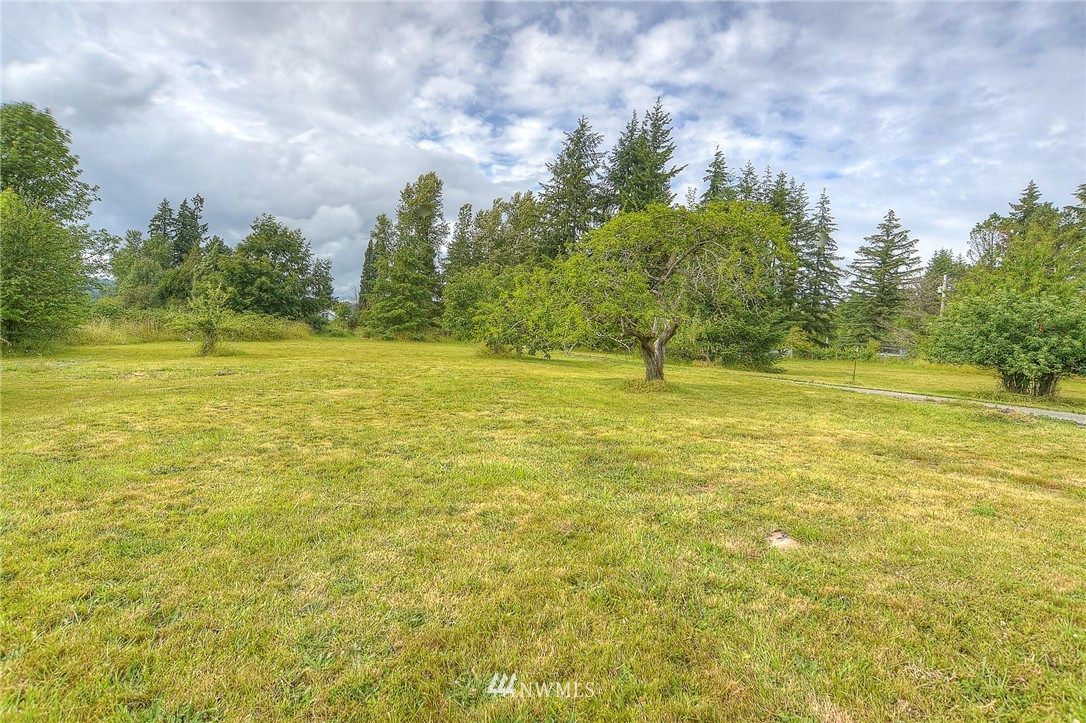 19023 Marble Street Southwest Rochester, WA 98579 - Photo 5 of 24
