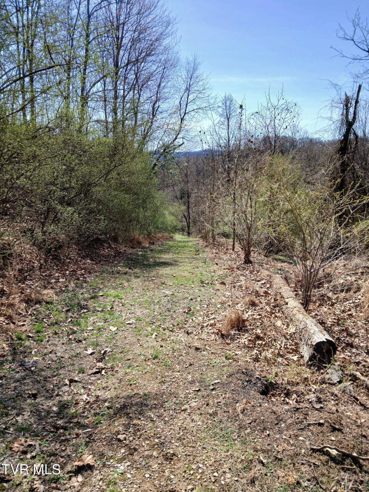 4314 Big Hill Road Pennington Gap, VA 24277 - Photo 10 of 35 3259188852618441399