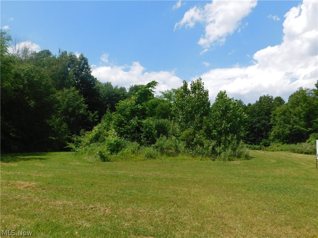 Luli Road Mogadore, OH 44260 - Photo 1 of 14