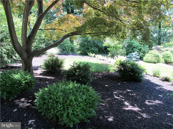 1716 Holly Road Reading, PA 19602 - Photo 5 of 24