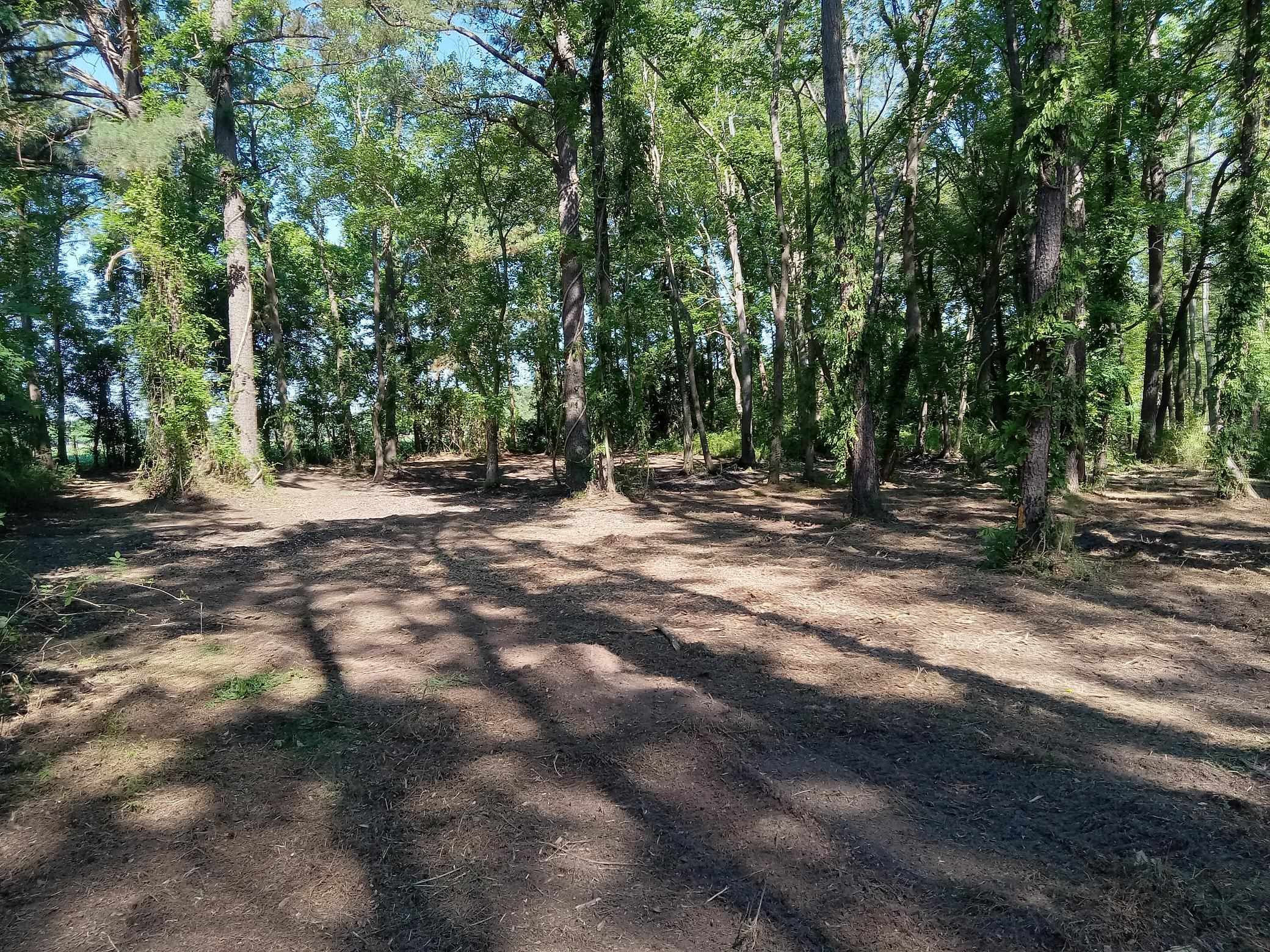 3800 Kickapoo Drive Green Sea, SC 29545 - Photo 5 of 10