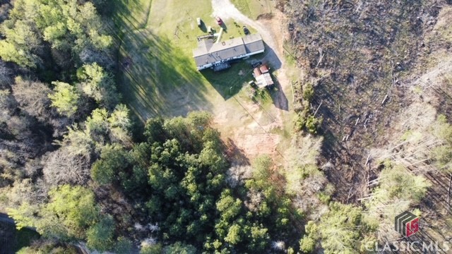 1 Dora Bush Hill Road McRae-Helena, GA 31037 - Photo 3 of 32