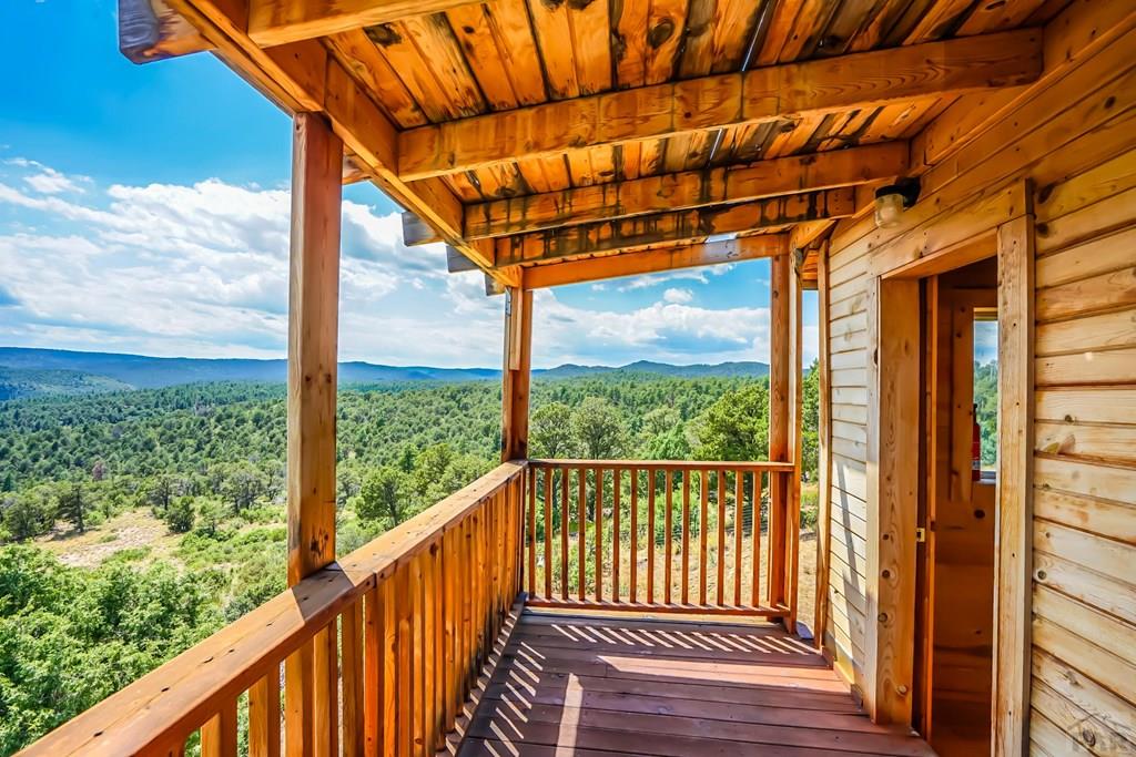 31300 Timber Canyon Road Trinidad, CO 81082 - Photo 16 of 59 a view of outdoor space with deck and wooden floor