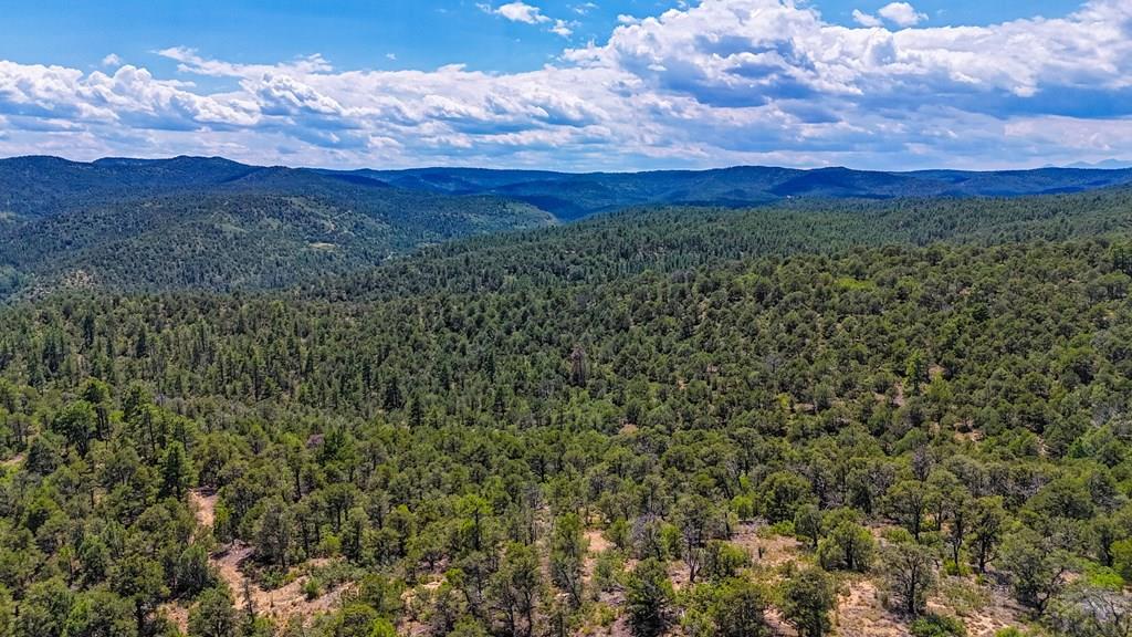 31300 Timber Canyon Road Trinidad, CO 81082 - Photo 5 of 59 a view of a forest with mountains in the background