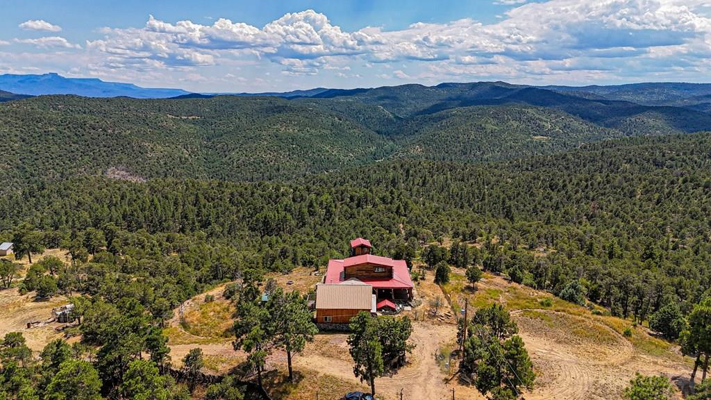 31300 Timber Canyon Road Trinidad, CO 81082 - Photo 59 of 59 a aerial view of a house with a yard