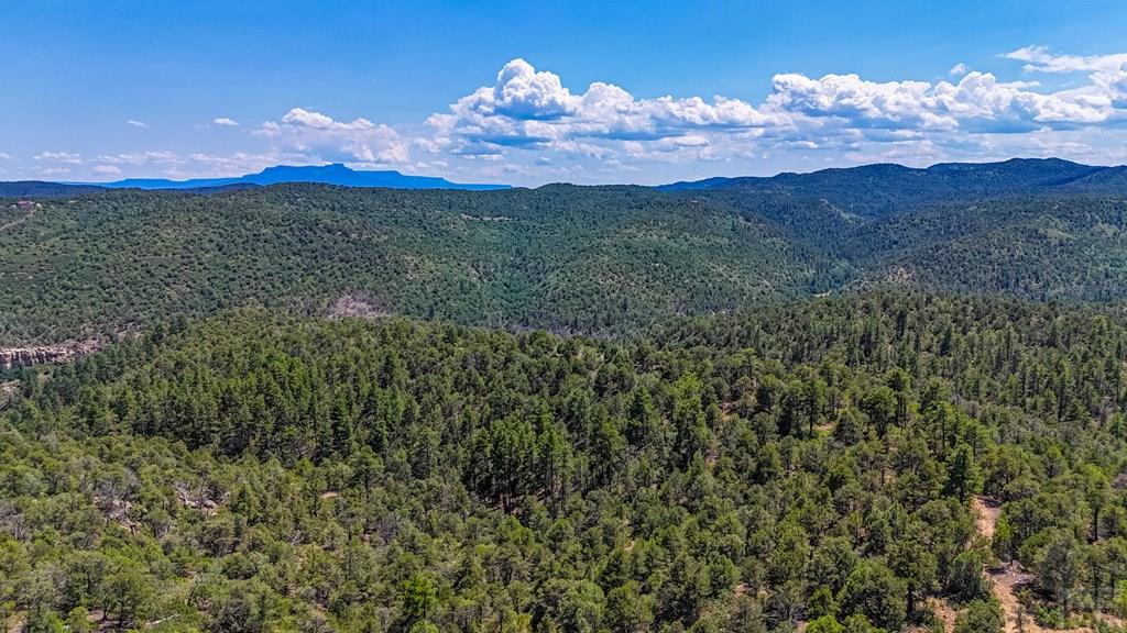 31300 Timber Canyon Road Trinidad, CO 81082 - Photo 6 of 59 a view of a city with lush green forest