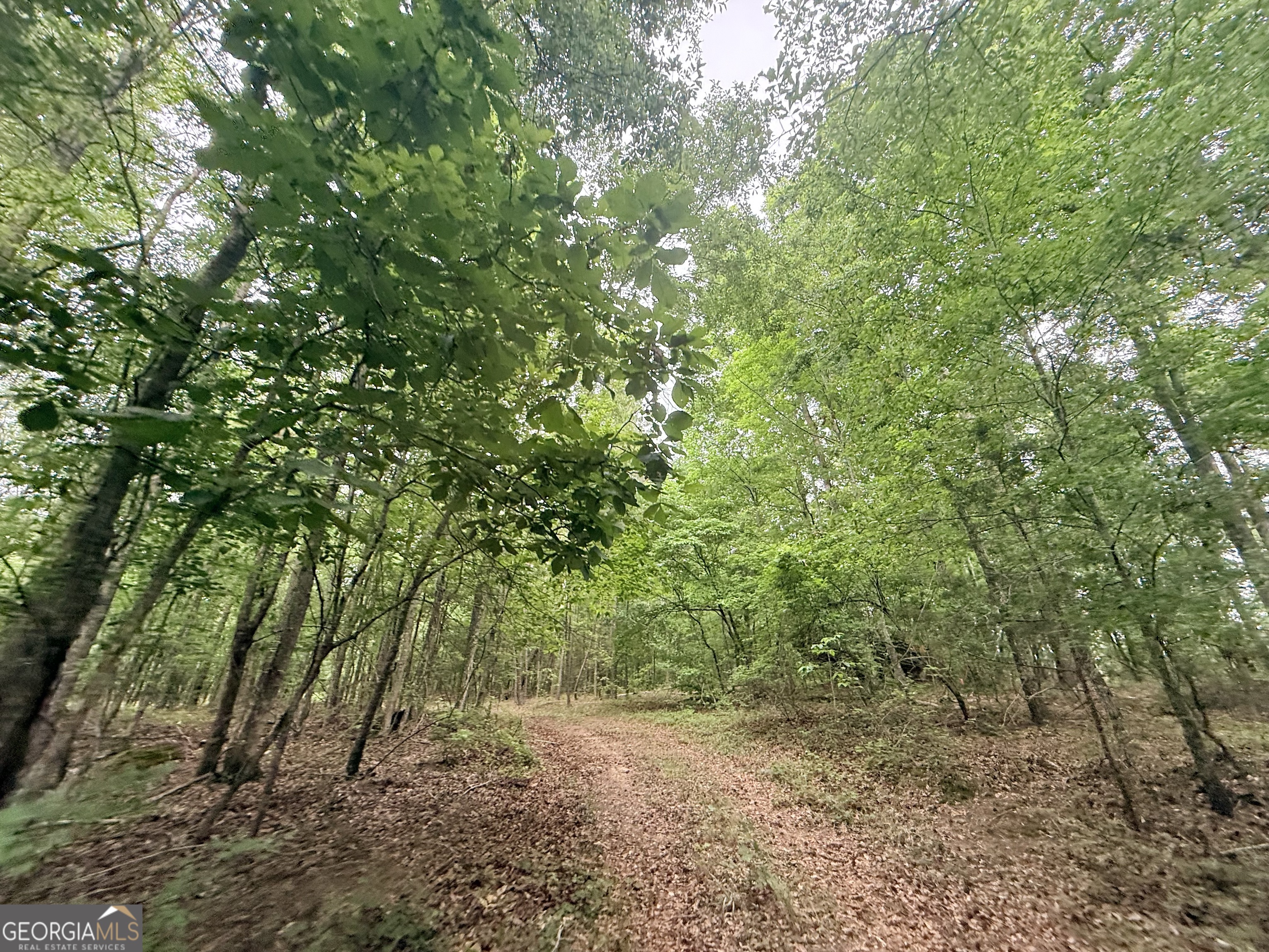 715 Fulsome Creek Road Sparta, GA 31087 - Photo 38 of 117