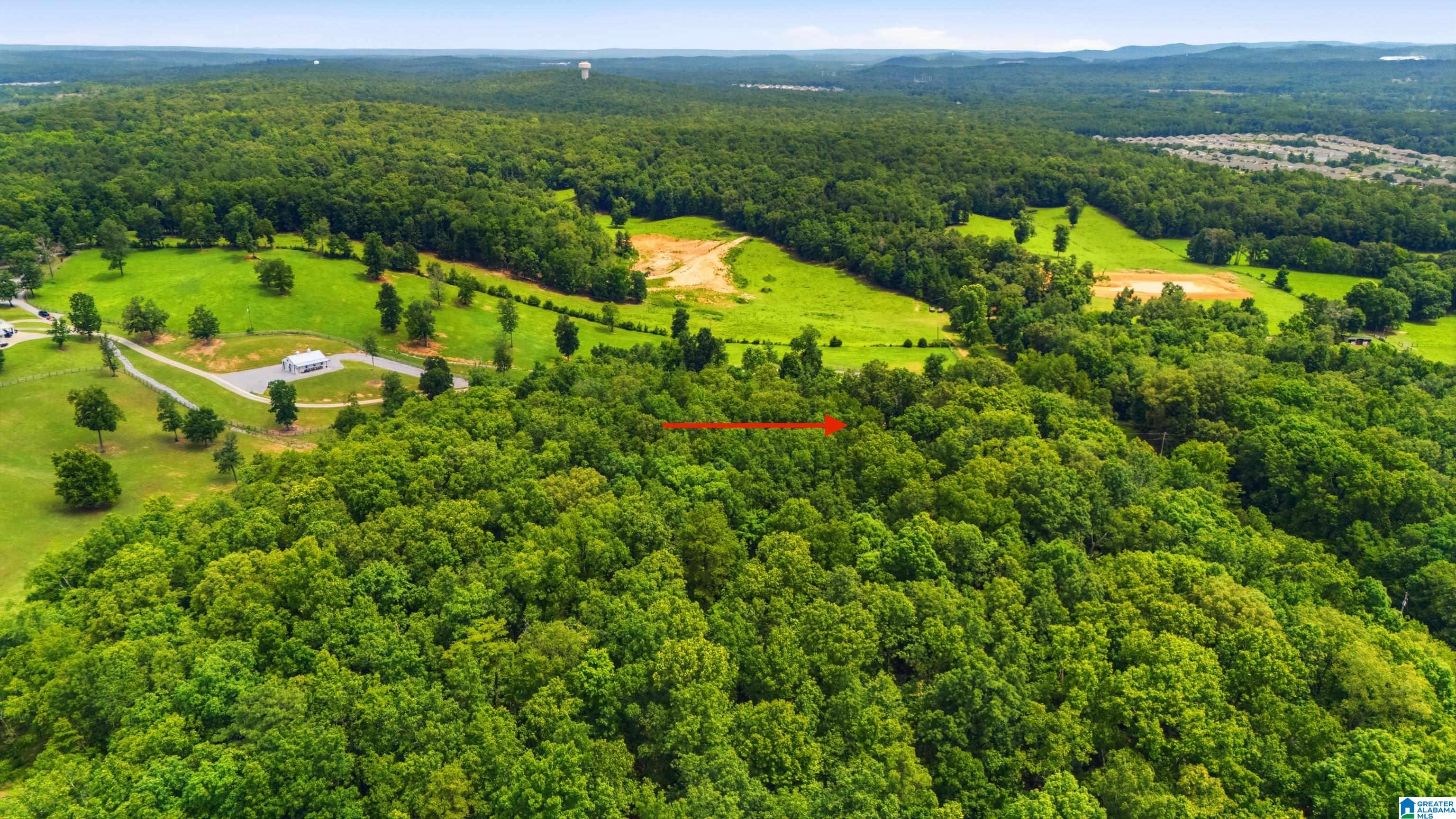 231 Country Ridge Road Montevallo, AL 35115 - Photo 57 of 60