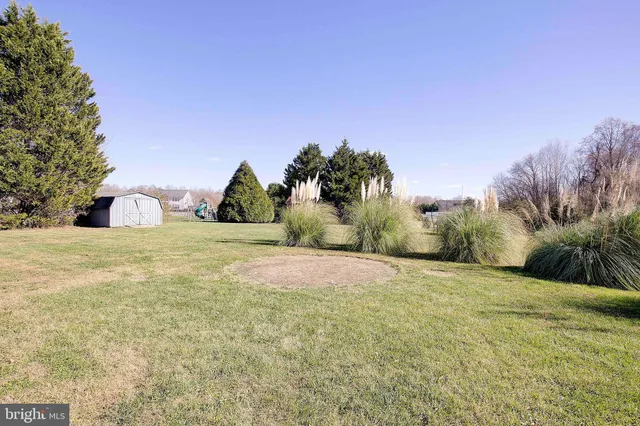 a view of a field with an trees in the background