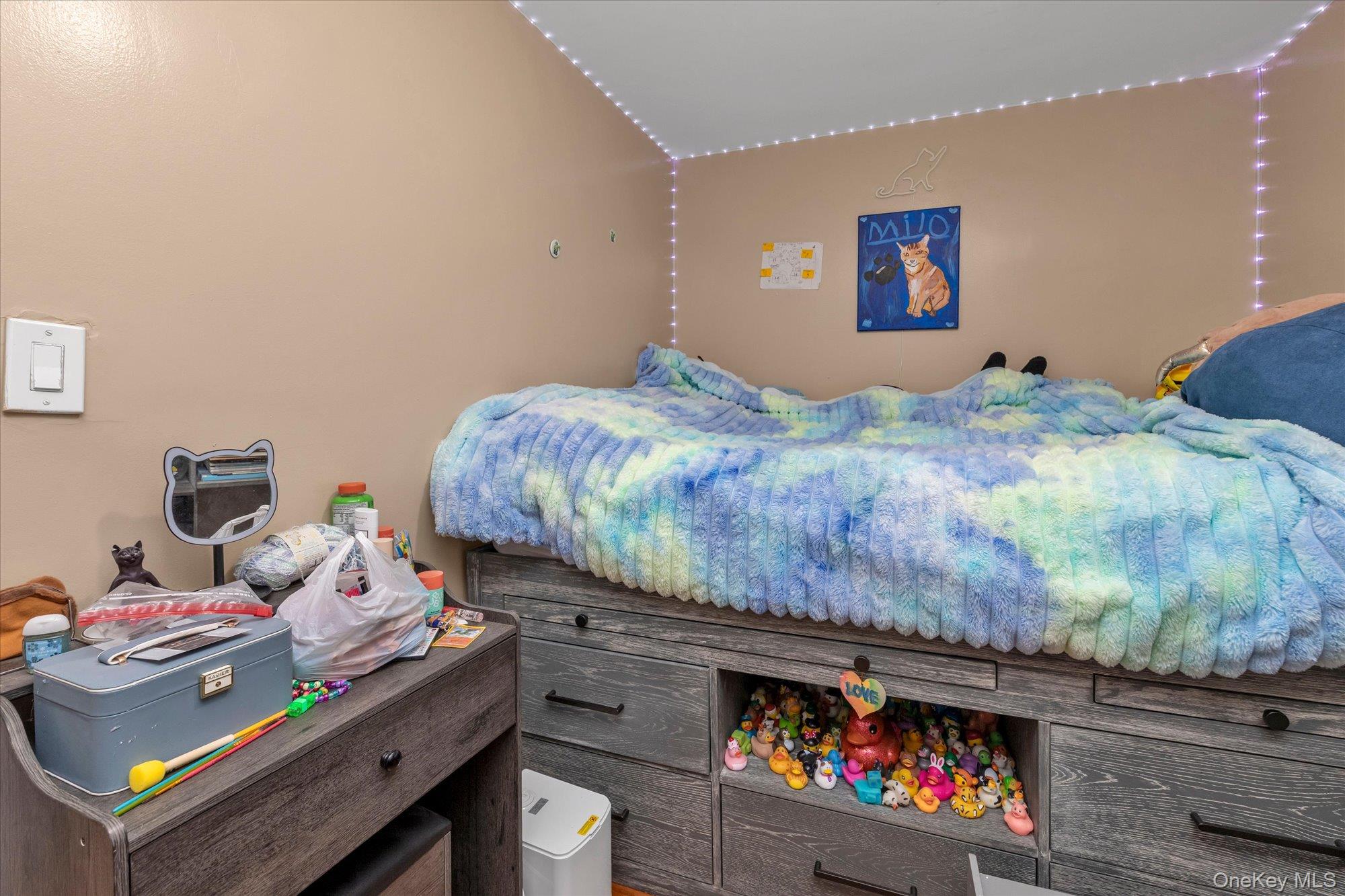 38 5th Street Valley Stream, NY 11581 - Photo 8 of 18