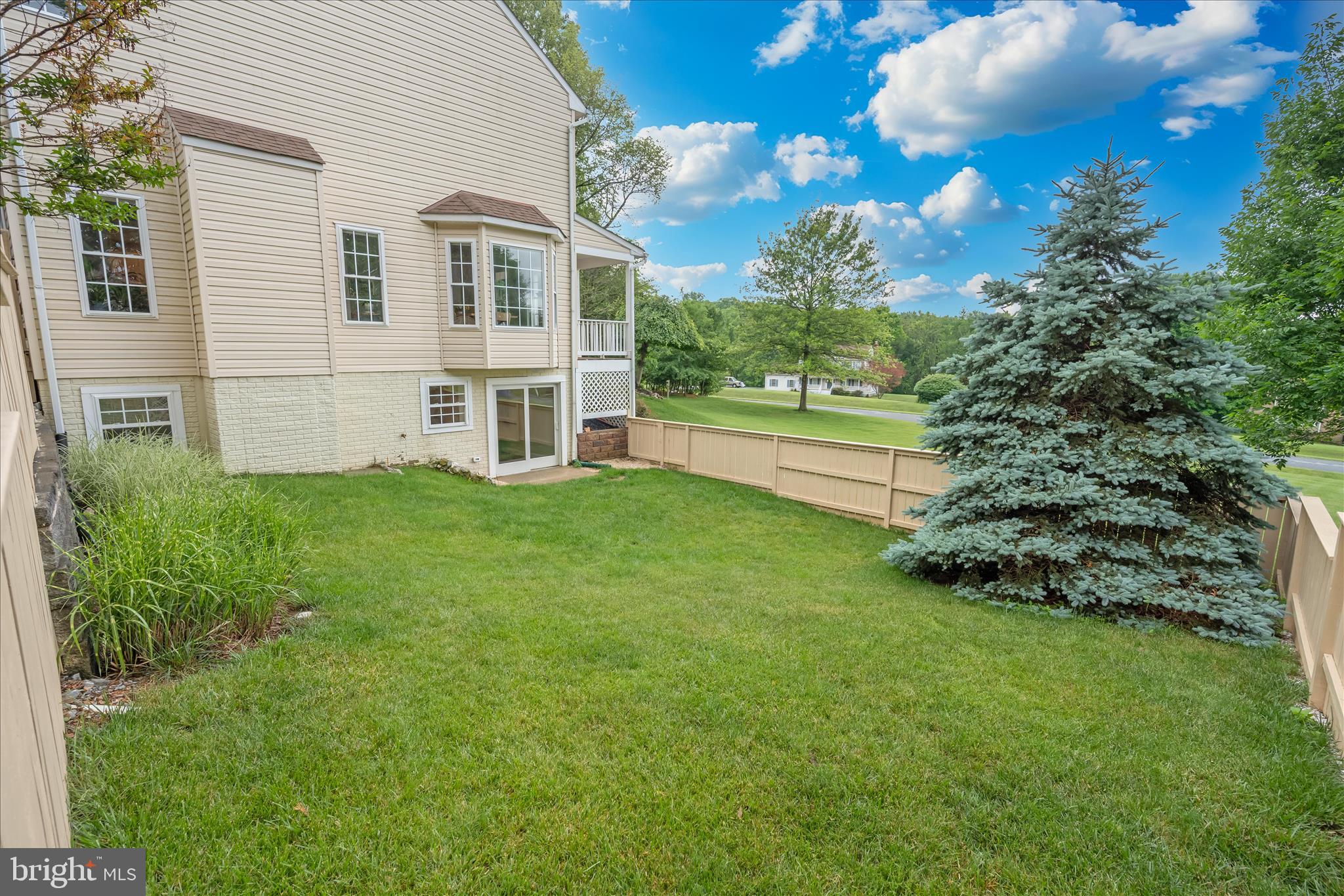 12110 Merricks Court Monrovia, MD 21770 - Photo 74 of 113 Side Yard