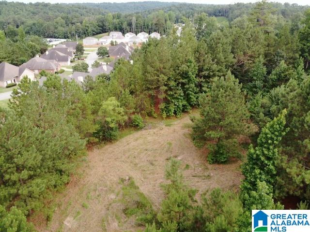 992 Narrows Point Drive, Unit 2 Birmingham, AL 35242 - Photo 1 of 6