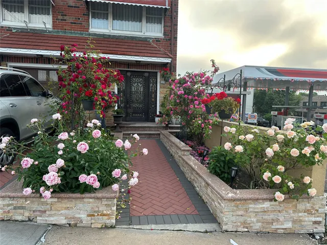a view of a potted flower in a yard