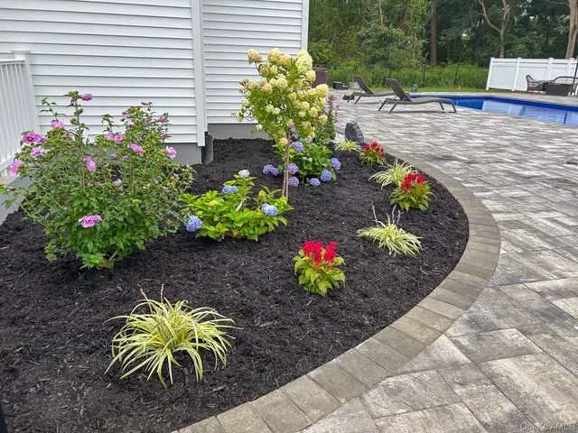 a view of a garden with a lot of flower plants