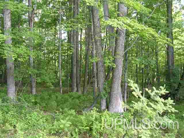 Tbd Gold Canyon Road Pelkie, MI 49958 - Photo 2 of 9